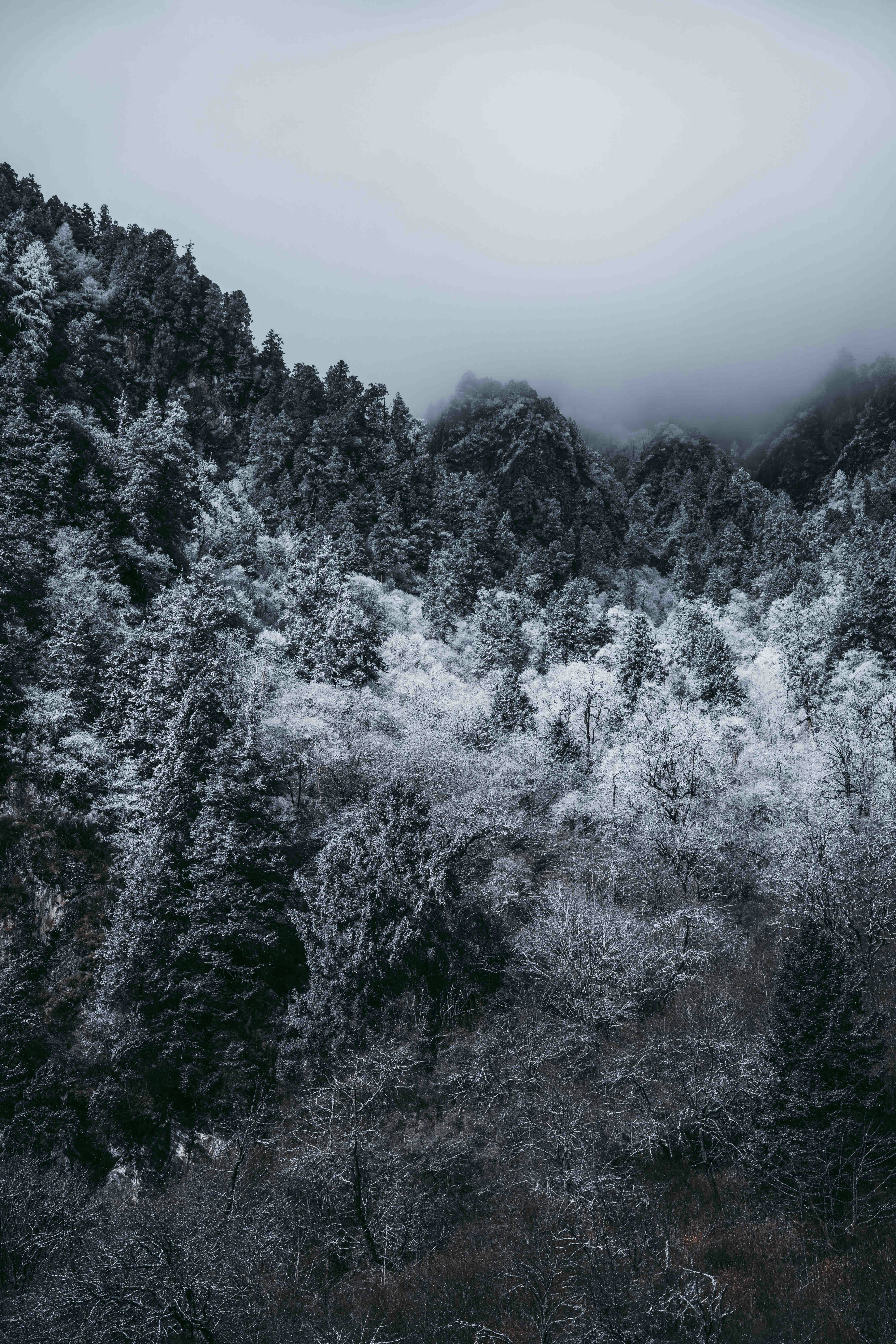 Photo by jw363621440