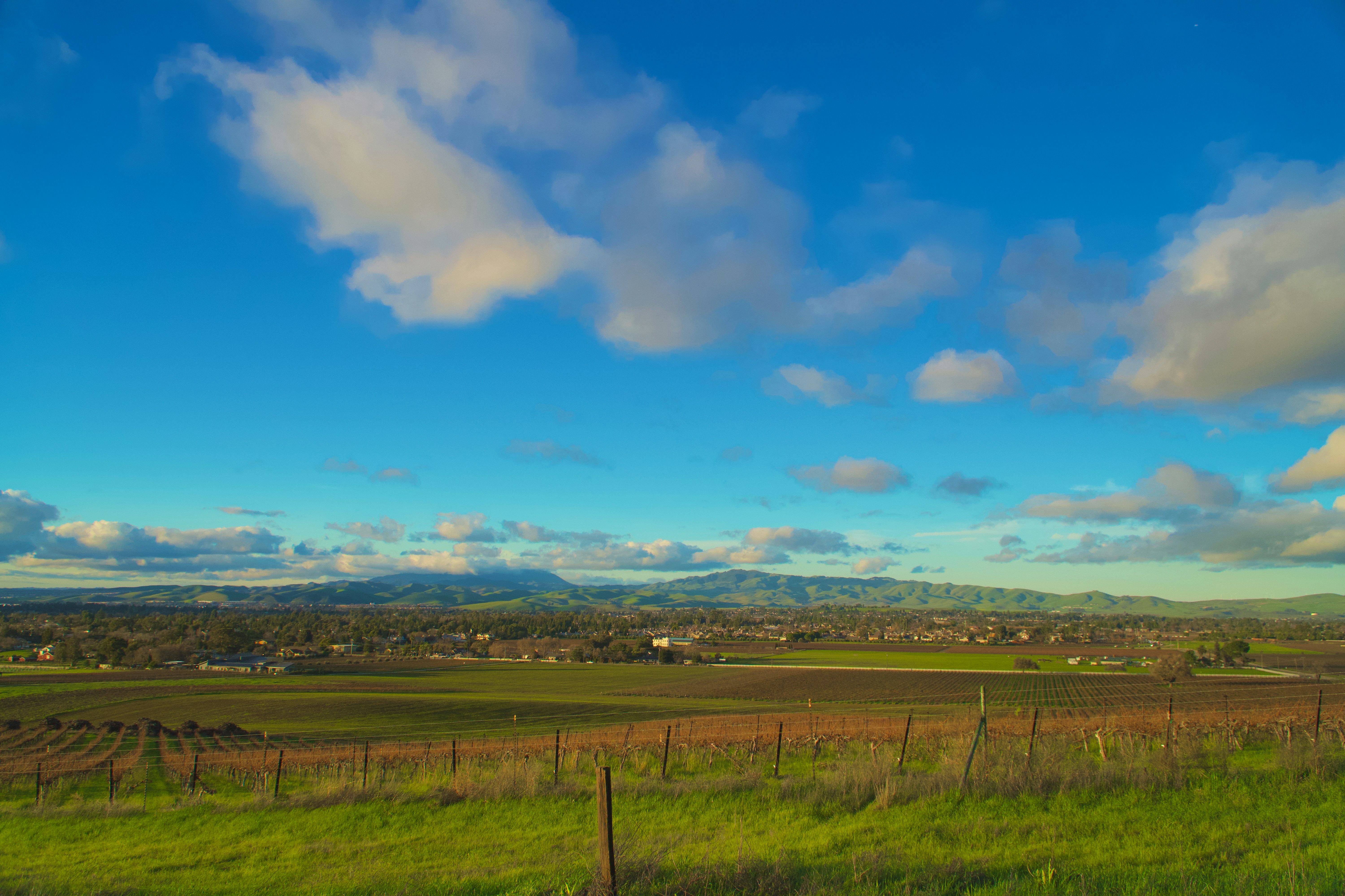 Photo by spencer_demera