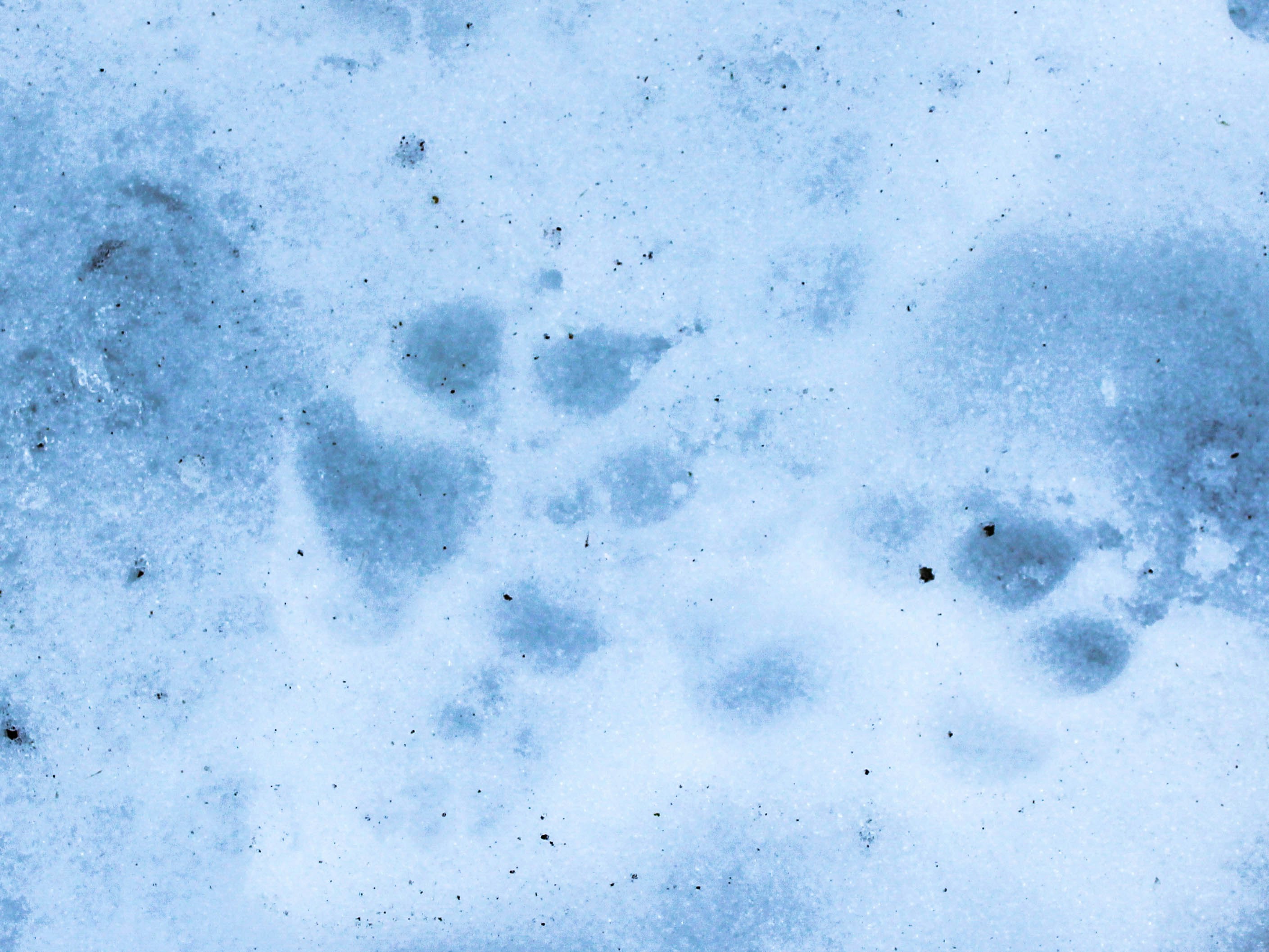 Photo by nephriteonline