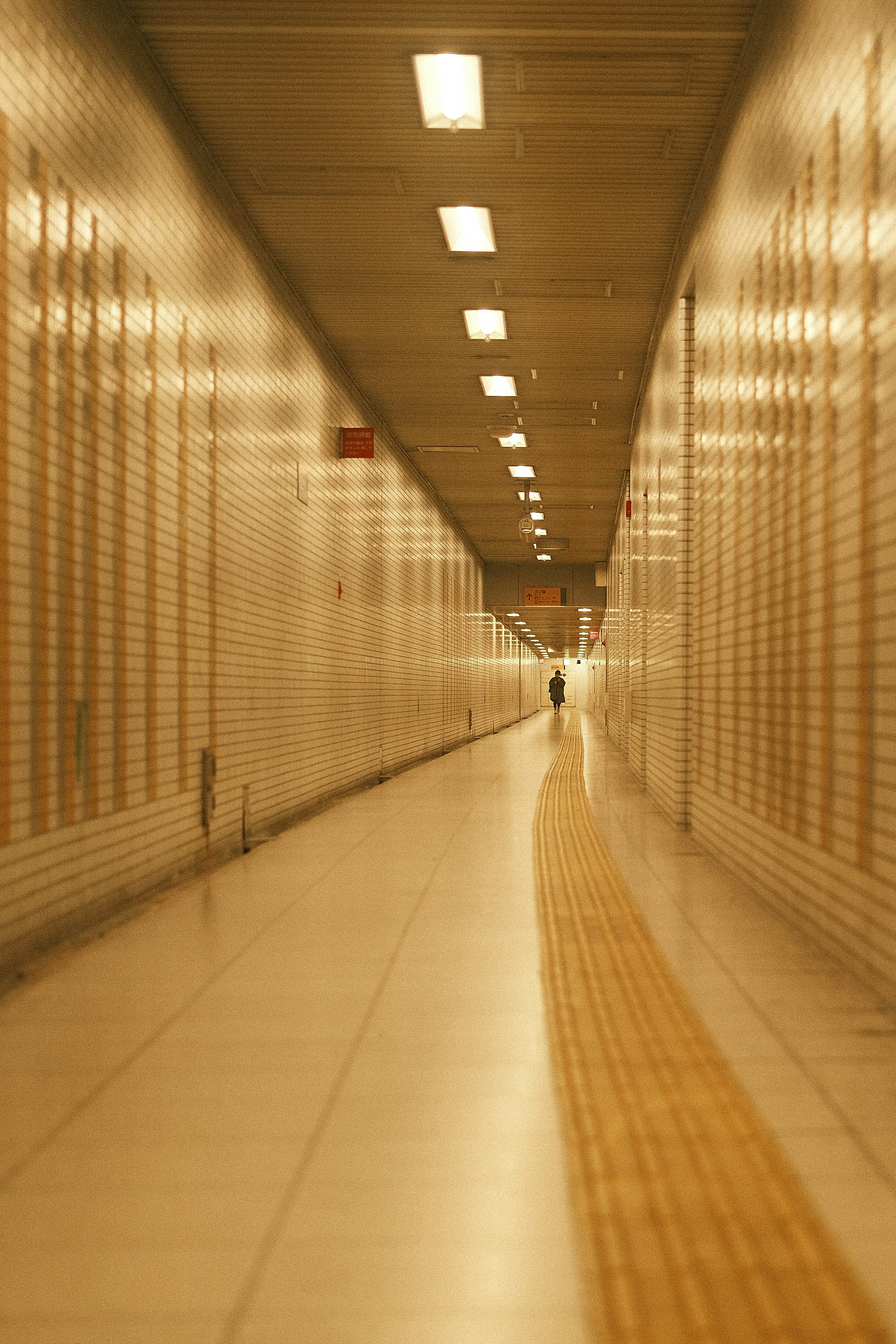 Photo by prince_perry