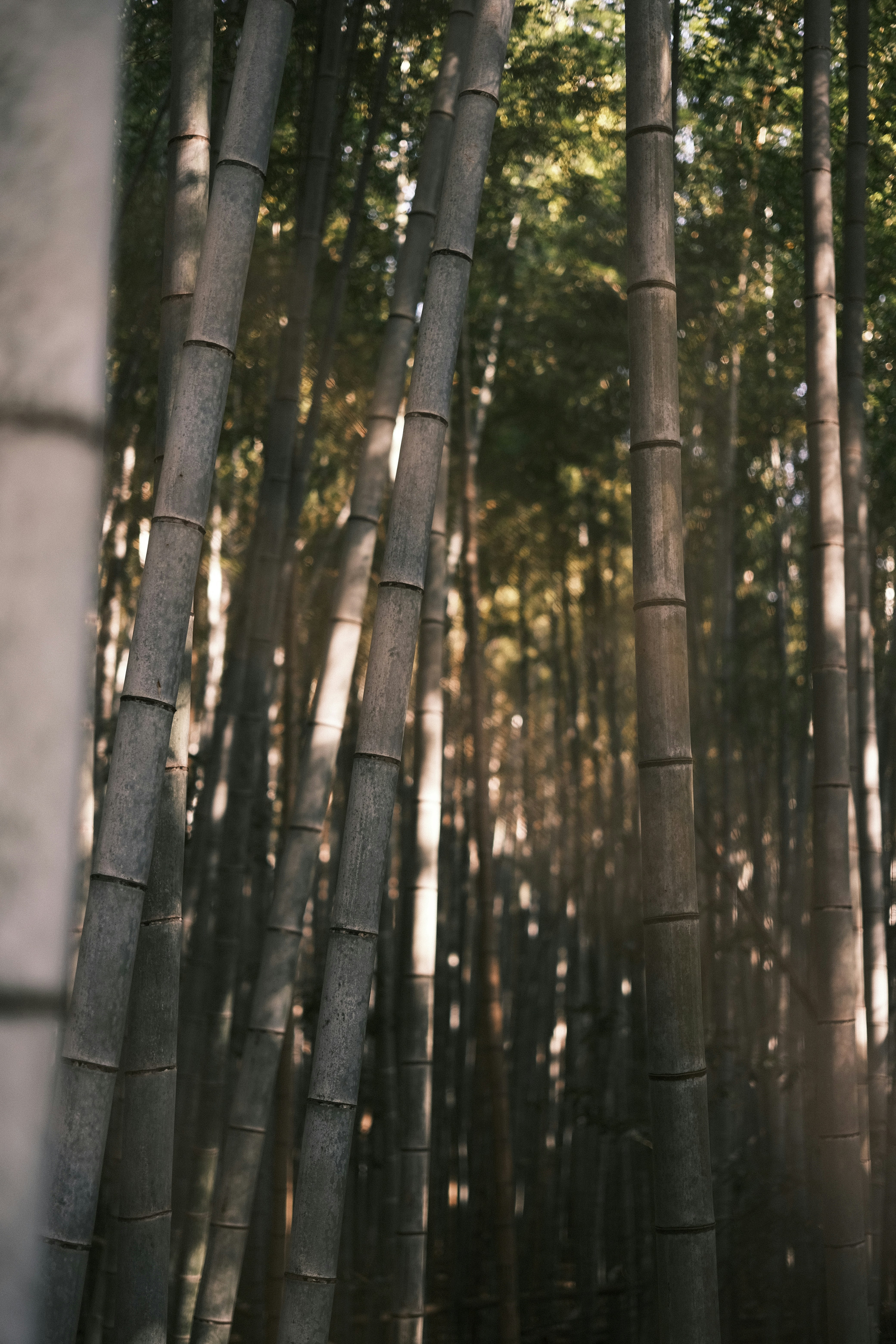 Photo by prince_perry