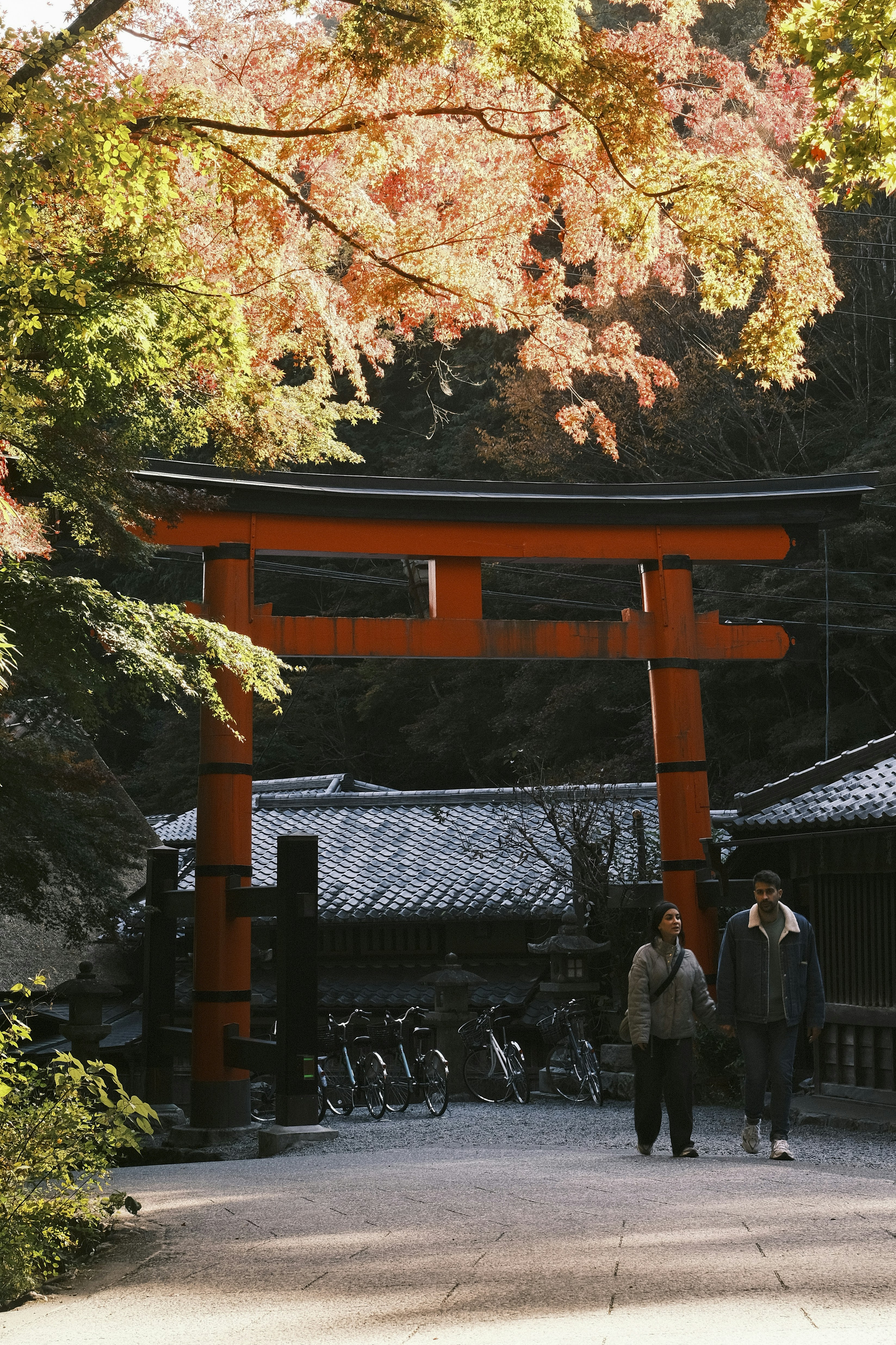 Photo by prince_perry