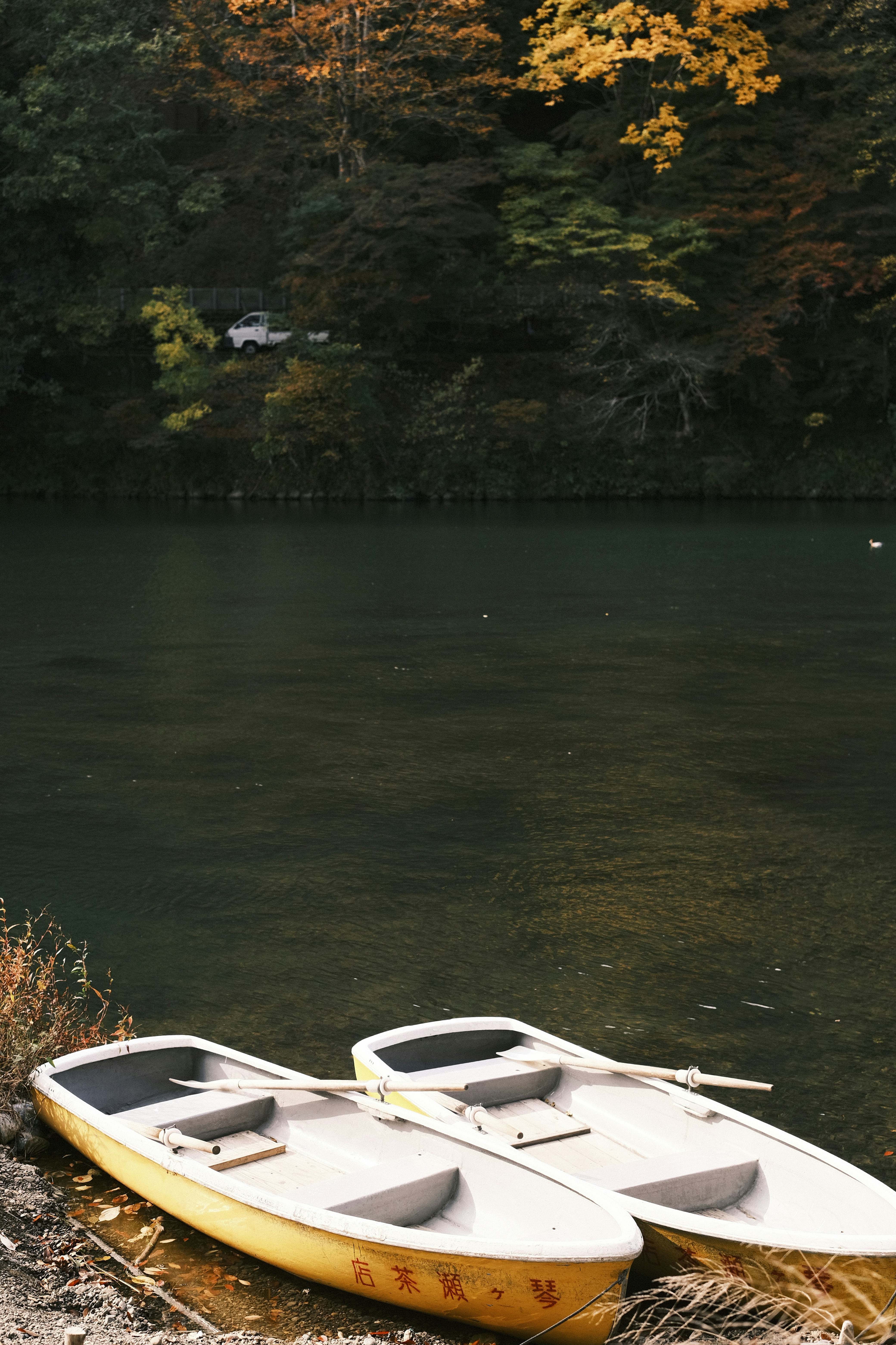 Photo by prince_perry