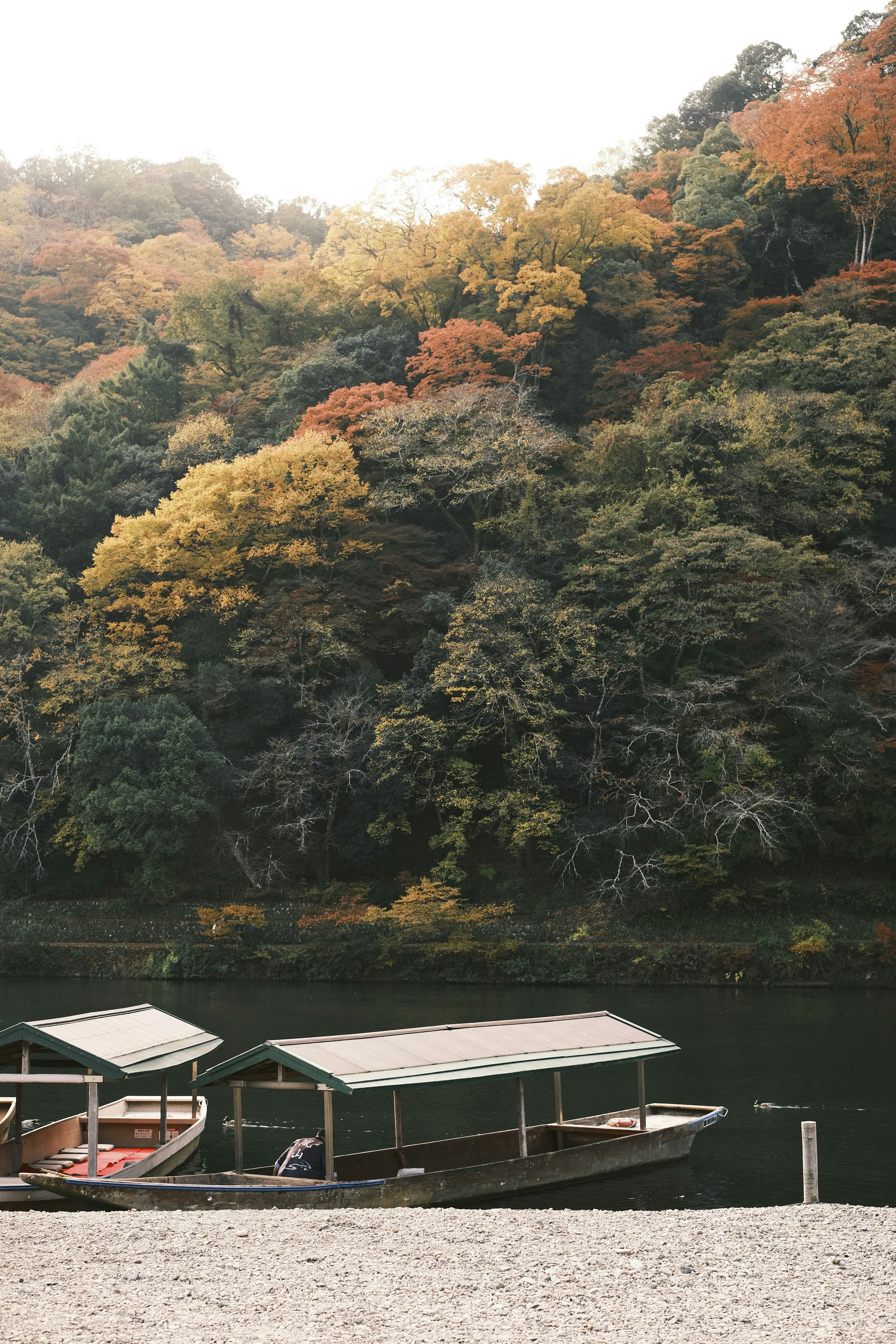 Photo by prince_perry