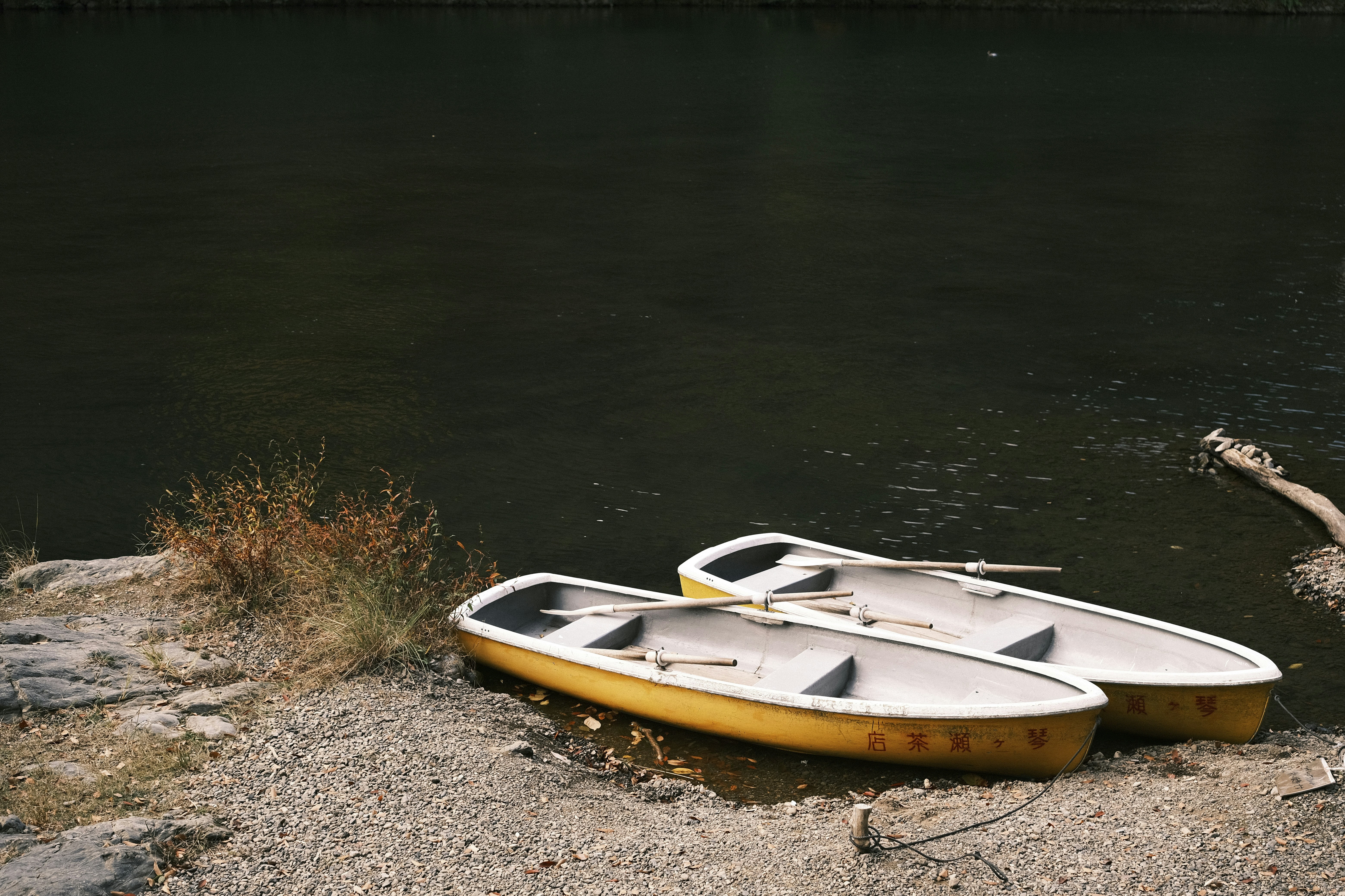 Photo by prince_perry