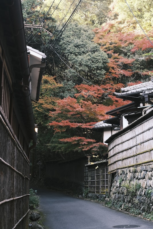 京都傳統町家之間的狹窄巷道與紅葉