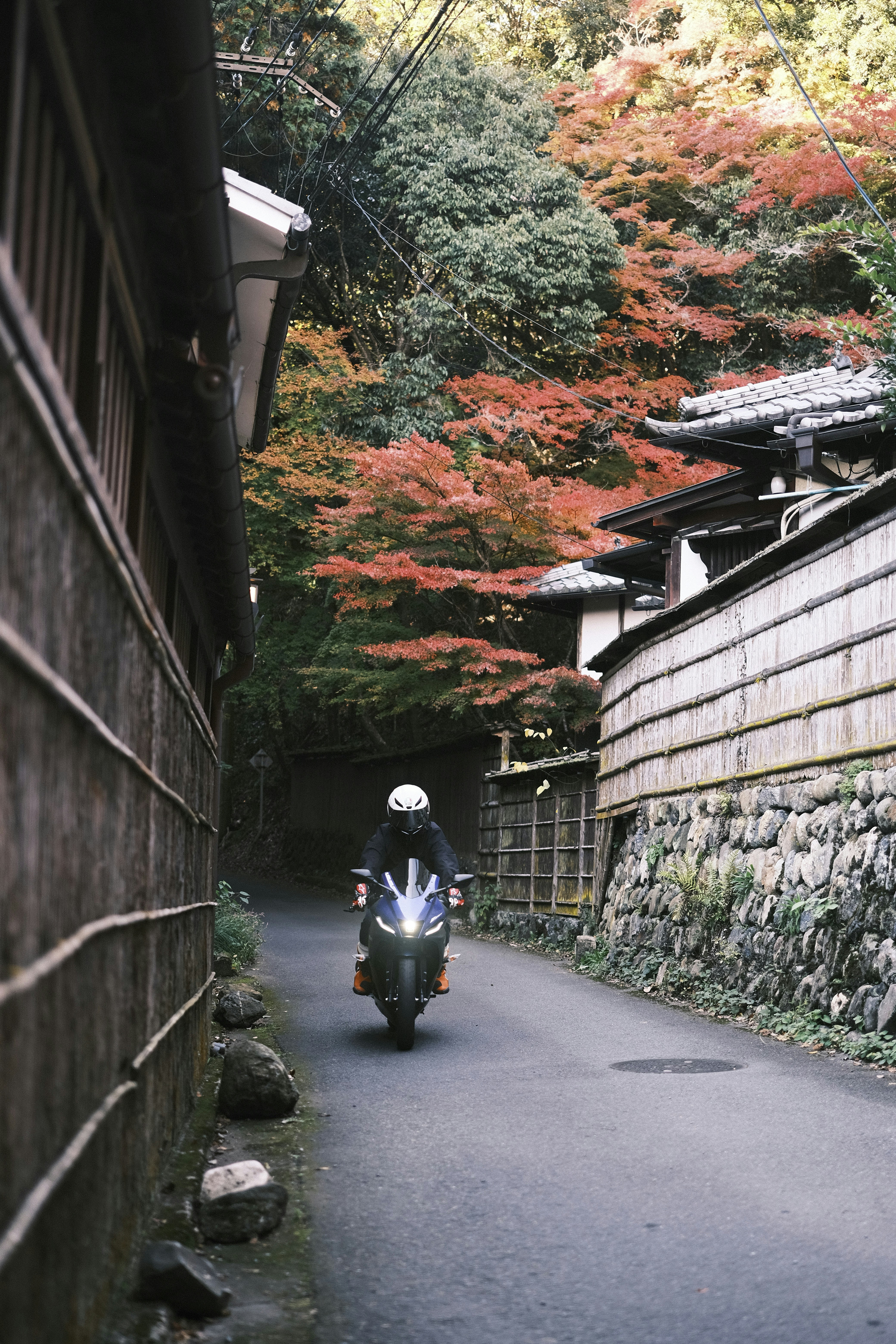 Photo by prince_perry