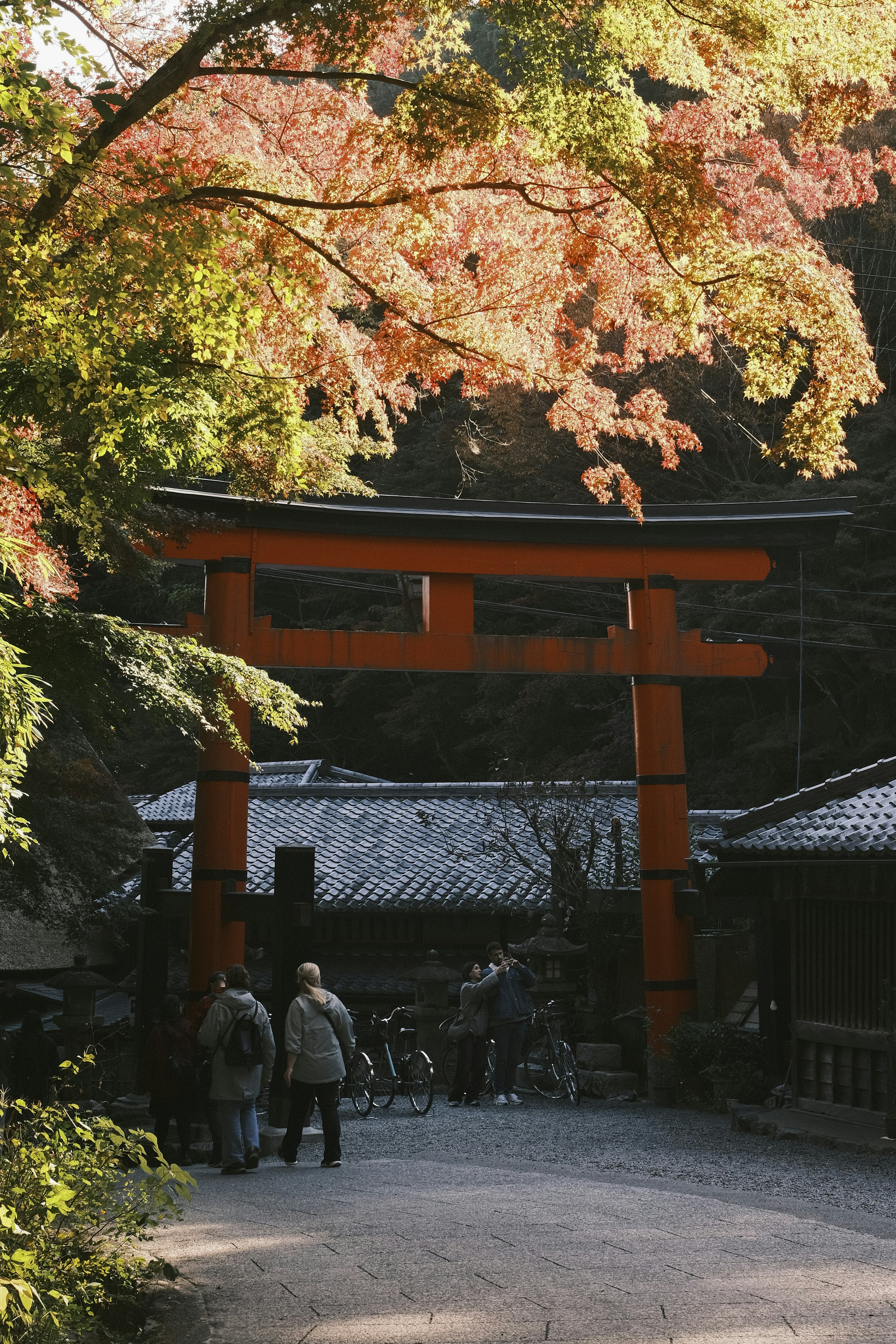 Photo by prince_perry