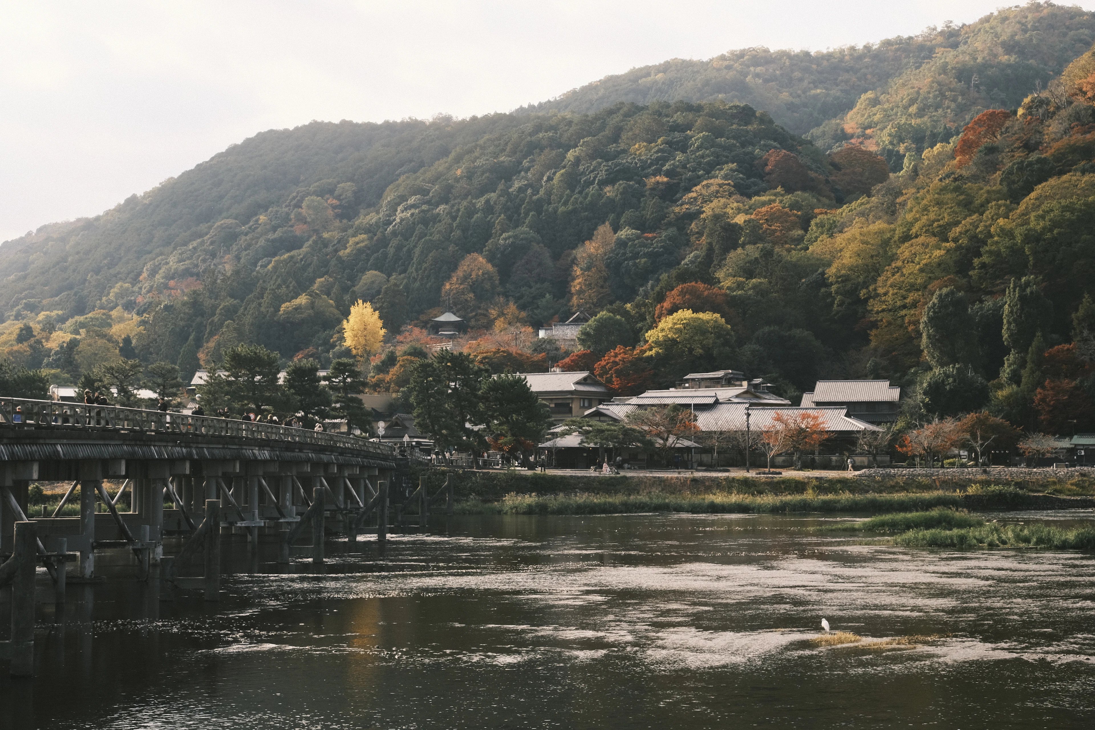 The long low Togetsukyo Bridge crossing the river at Arashiyama in Kyoto beneath a hillside turning gold and rust in autumn, tiled roofs along the far bank.
