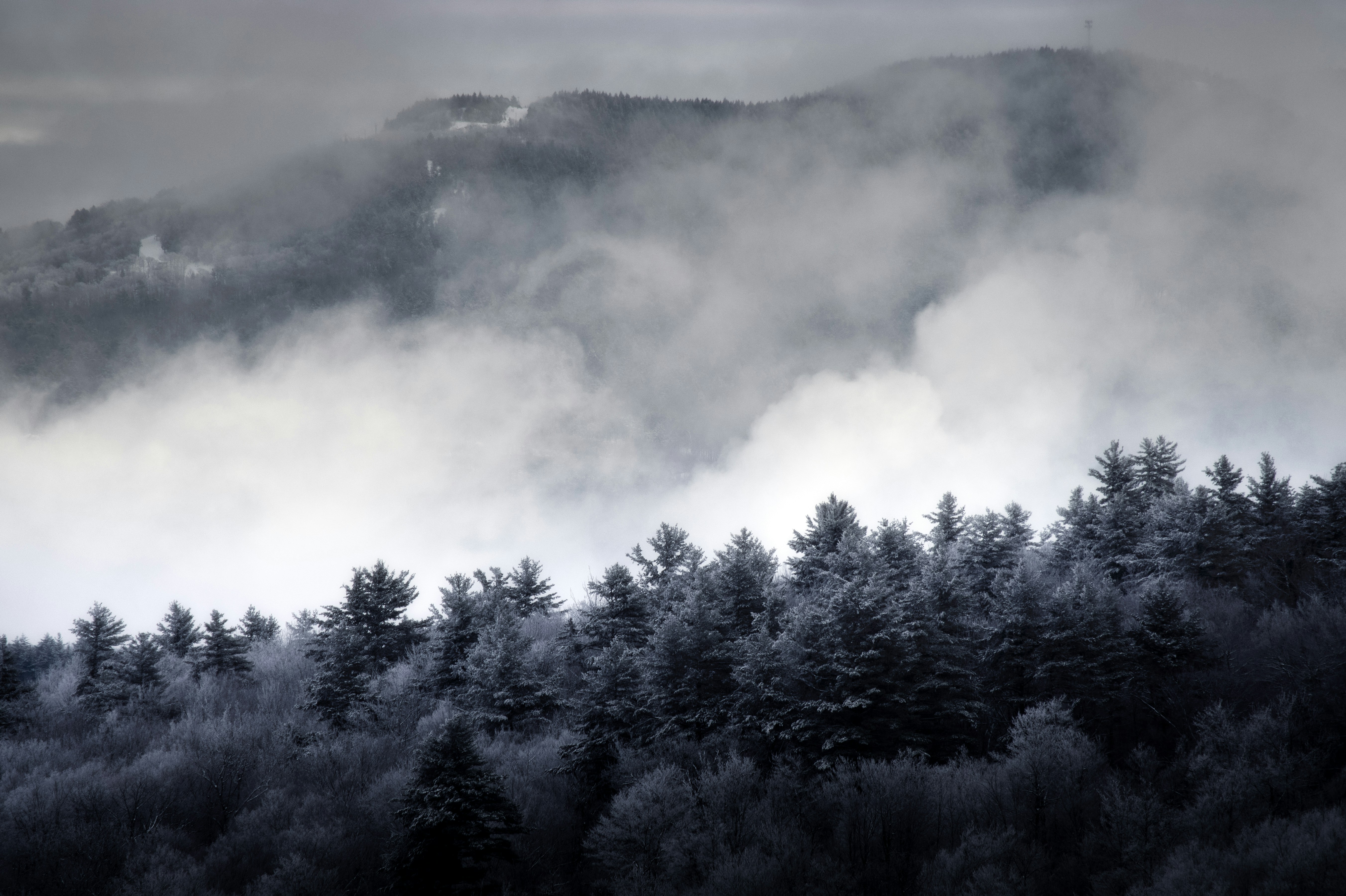 New Hampshire'daki faili meçhul cinayet...