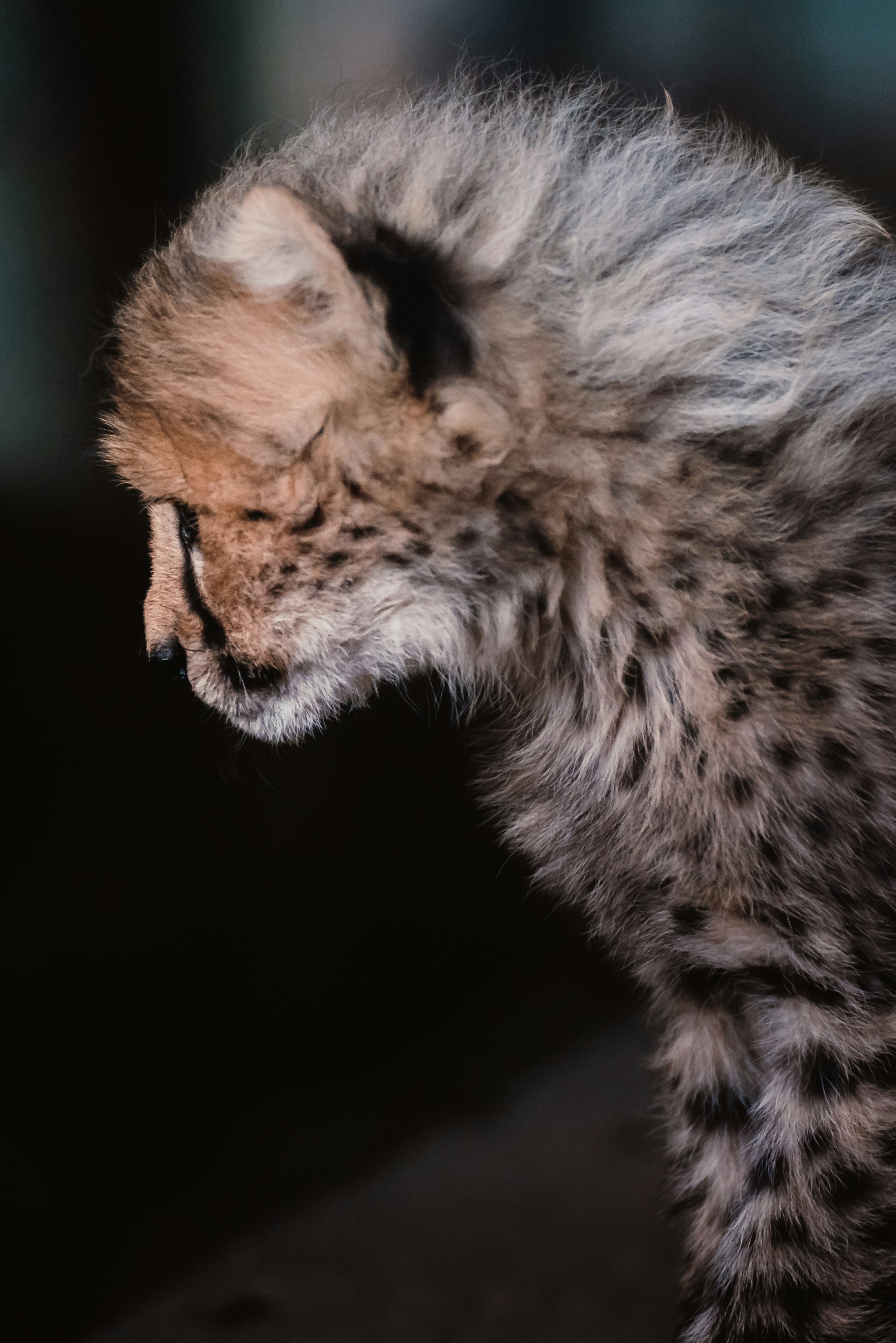 Photo by ahmetyuksek