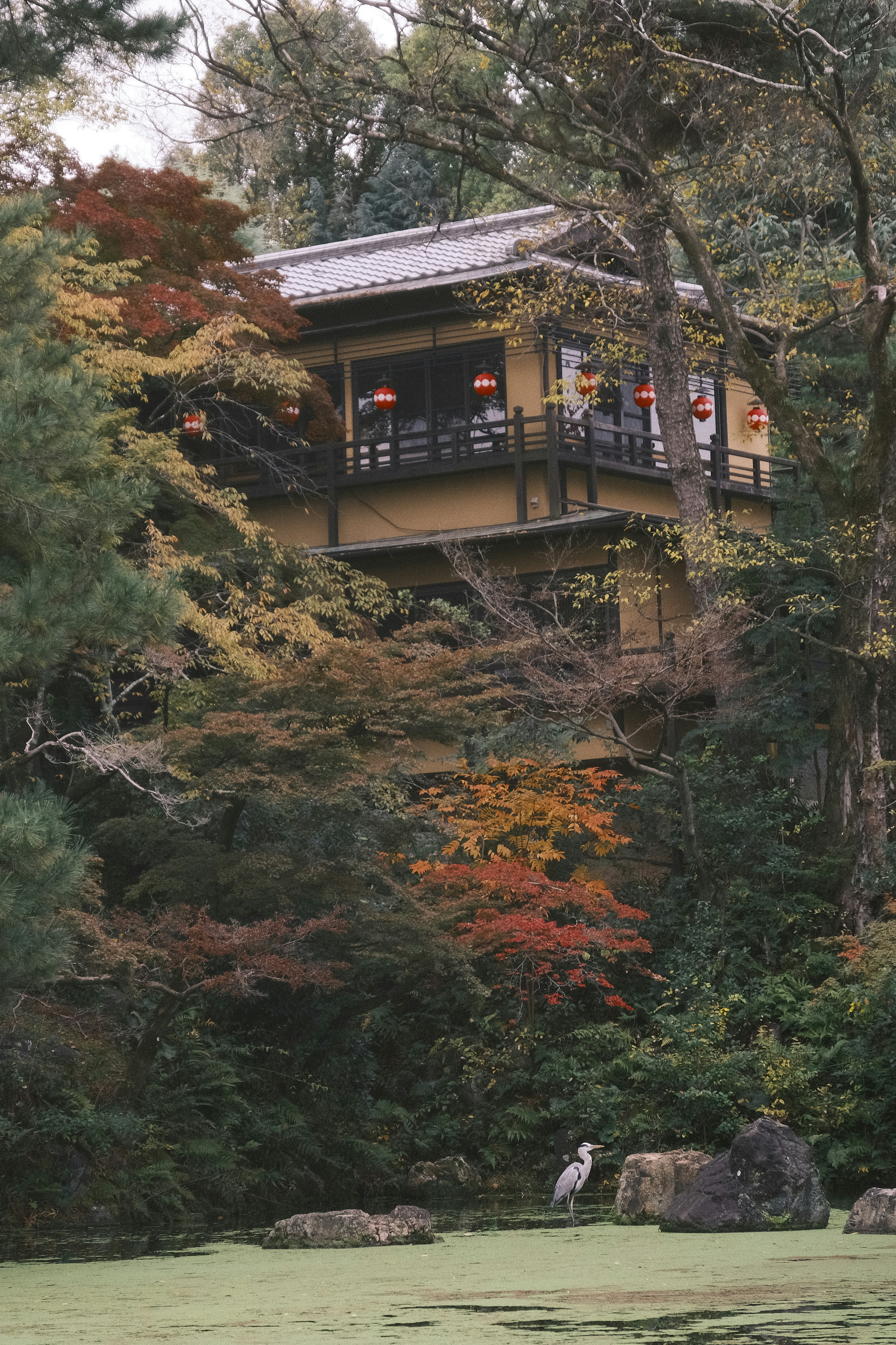 Photo by prince_perry