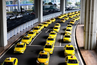 Rows of yellow taxis waiting on a road.