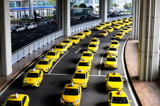 Rows of yellow taxis waiting on a road.