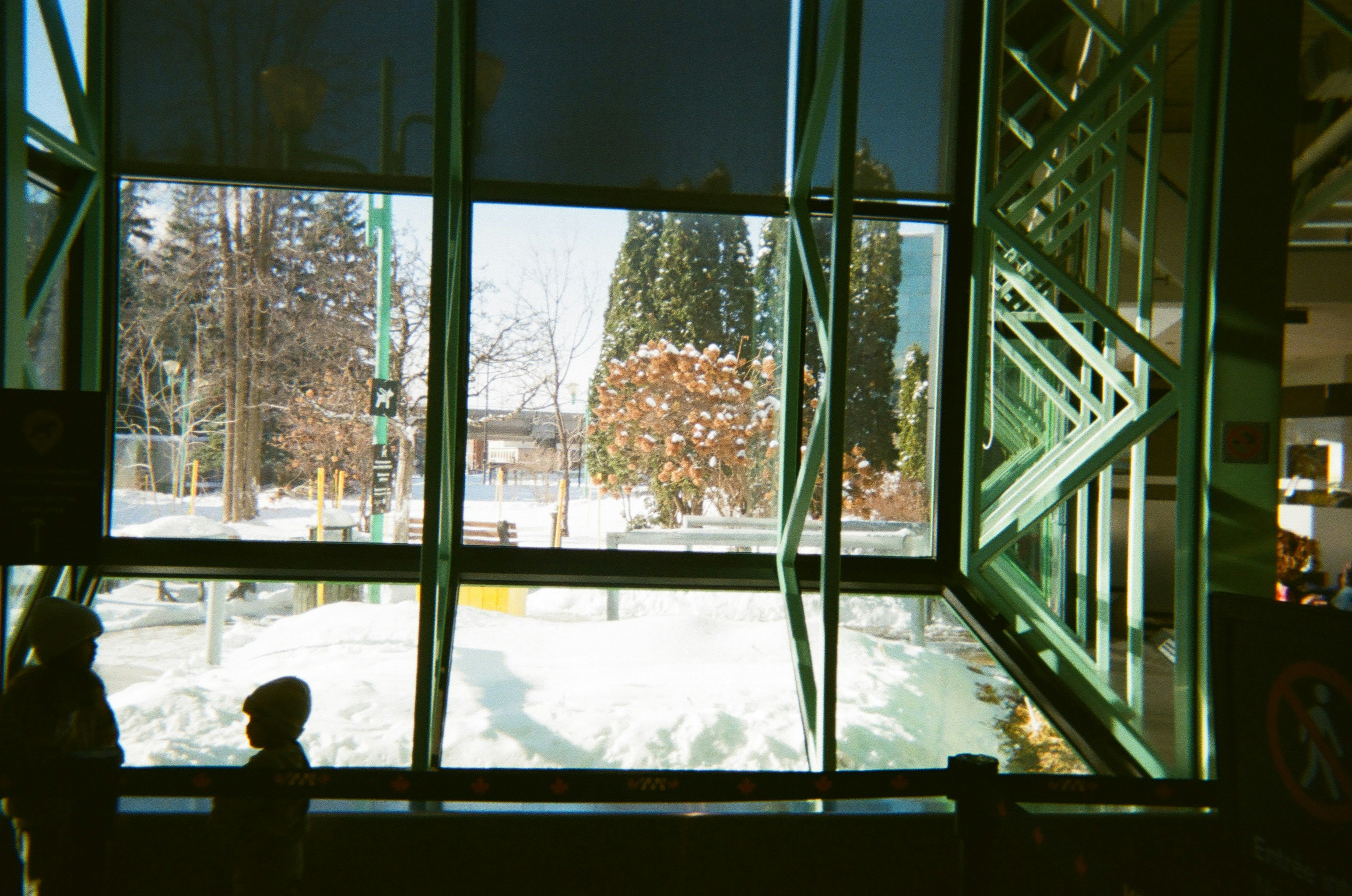 View of a snowy park through large windows