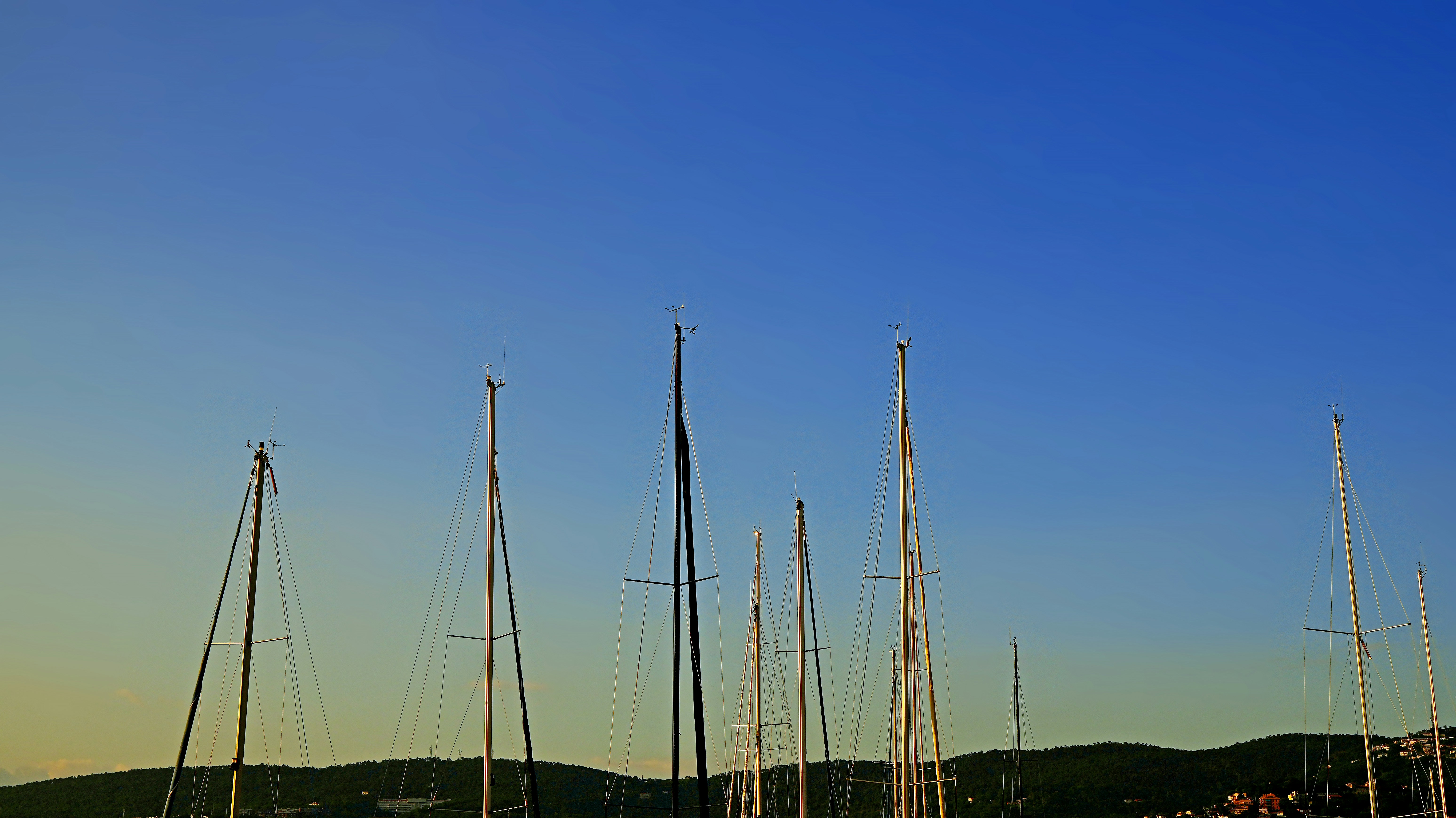 Sailboats docked against a clear blue sky.