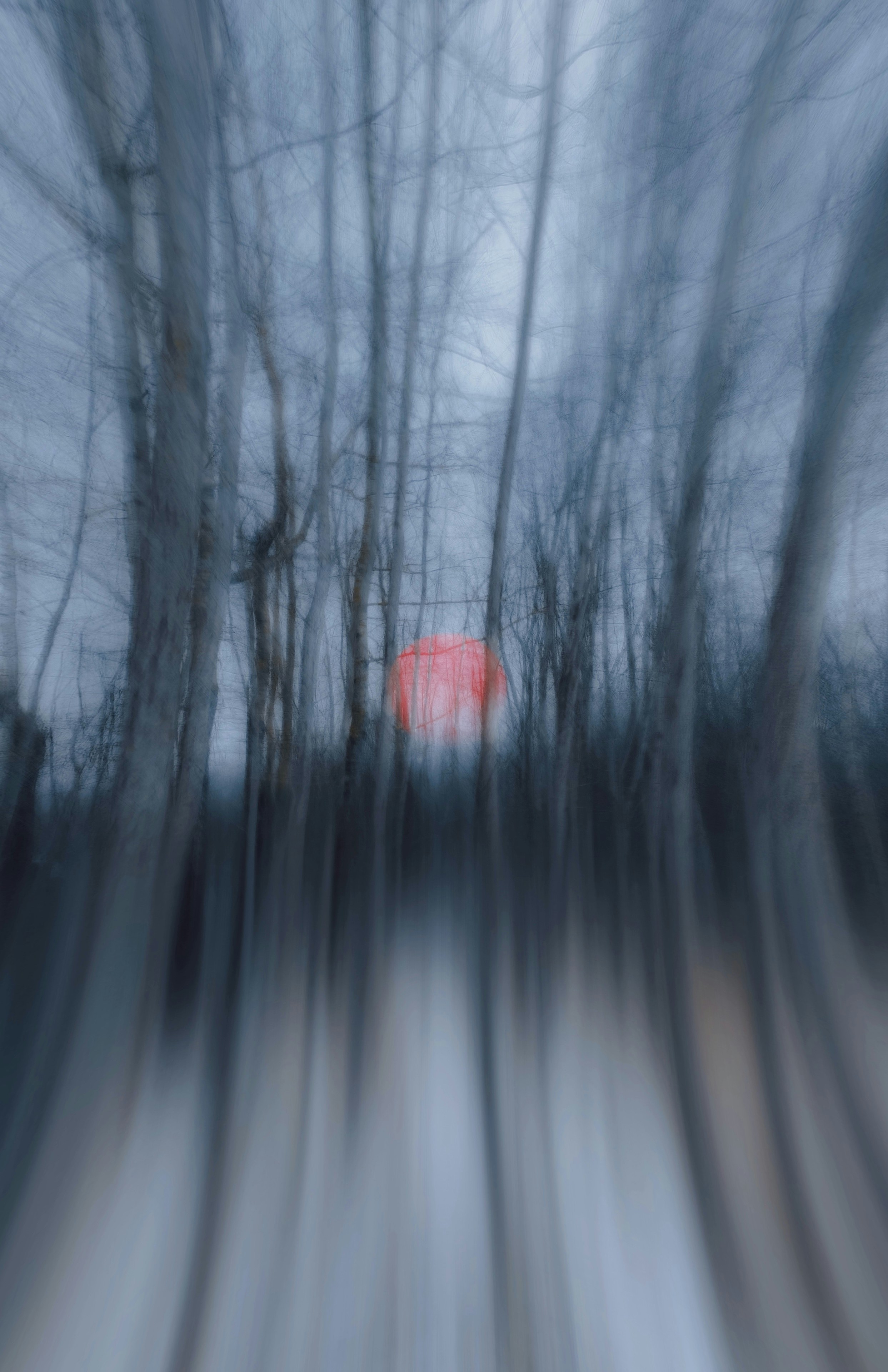 Red light in a blurry forest at dusk