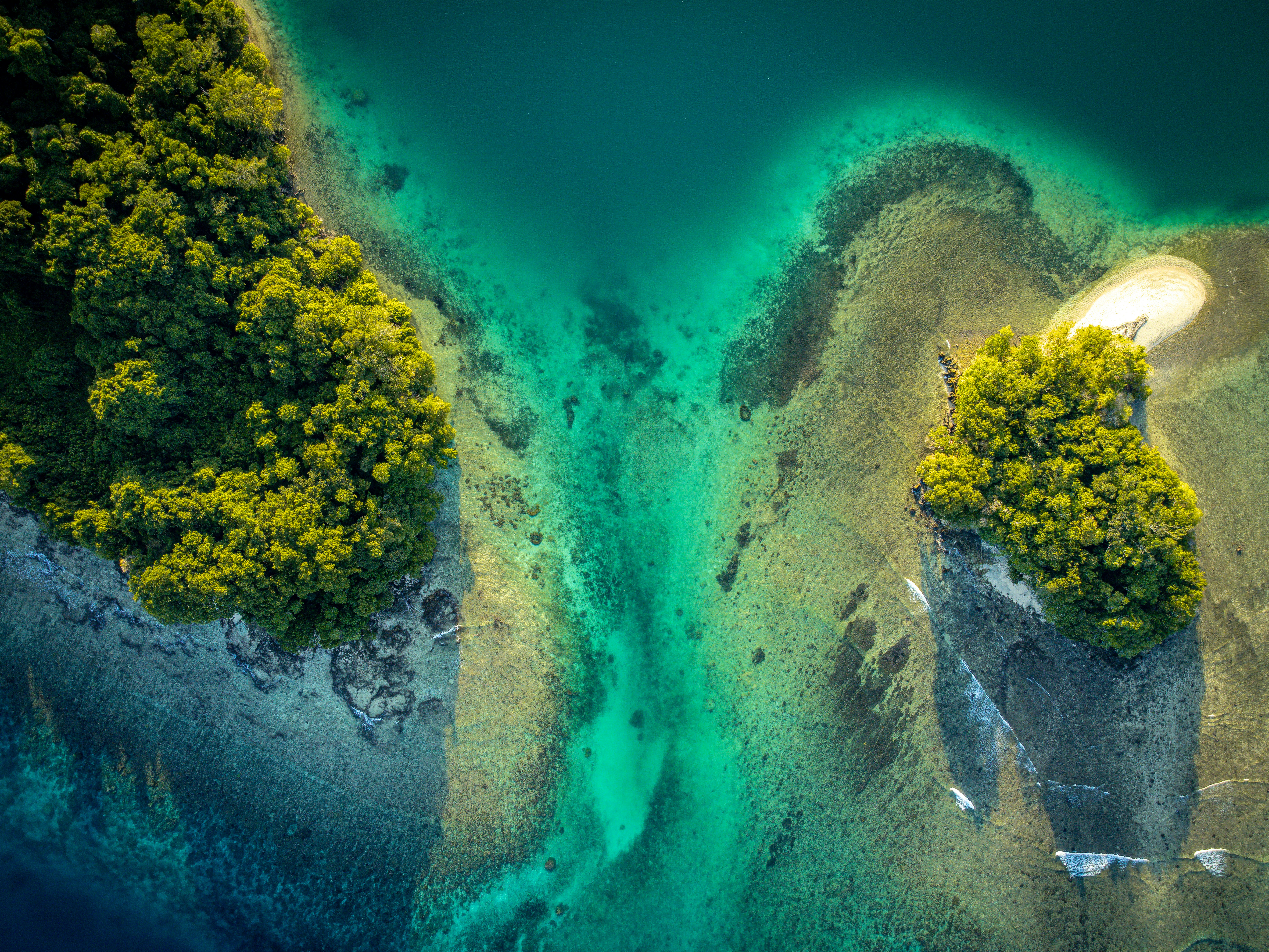 Aerial view of lush green islands and turquoise clear water.