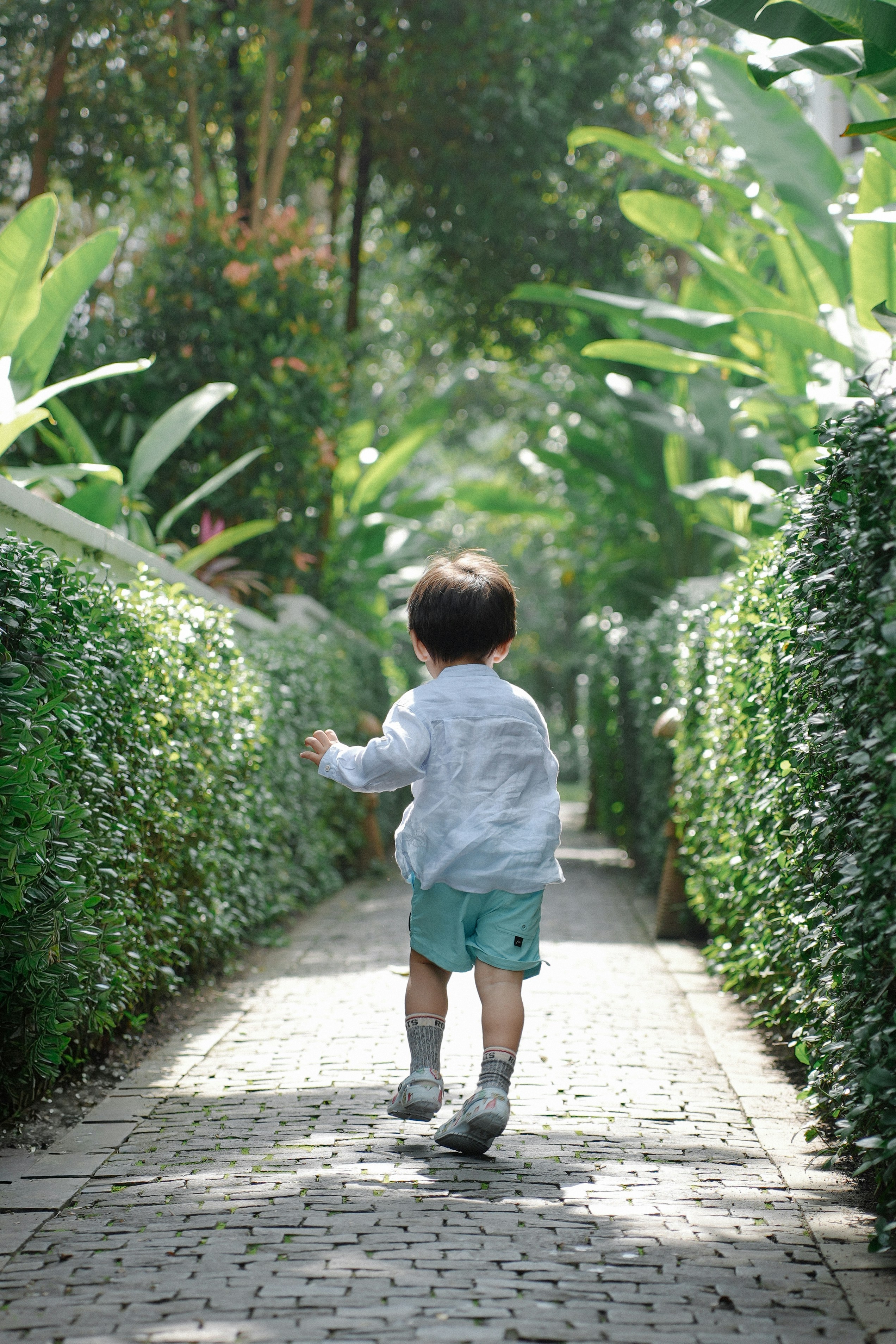 A young child walks down a garden path.