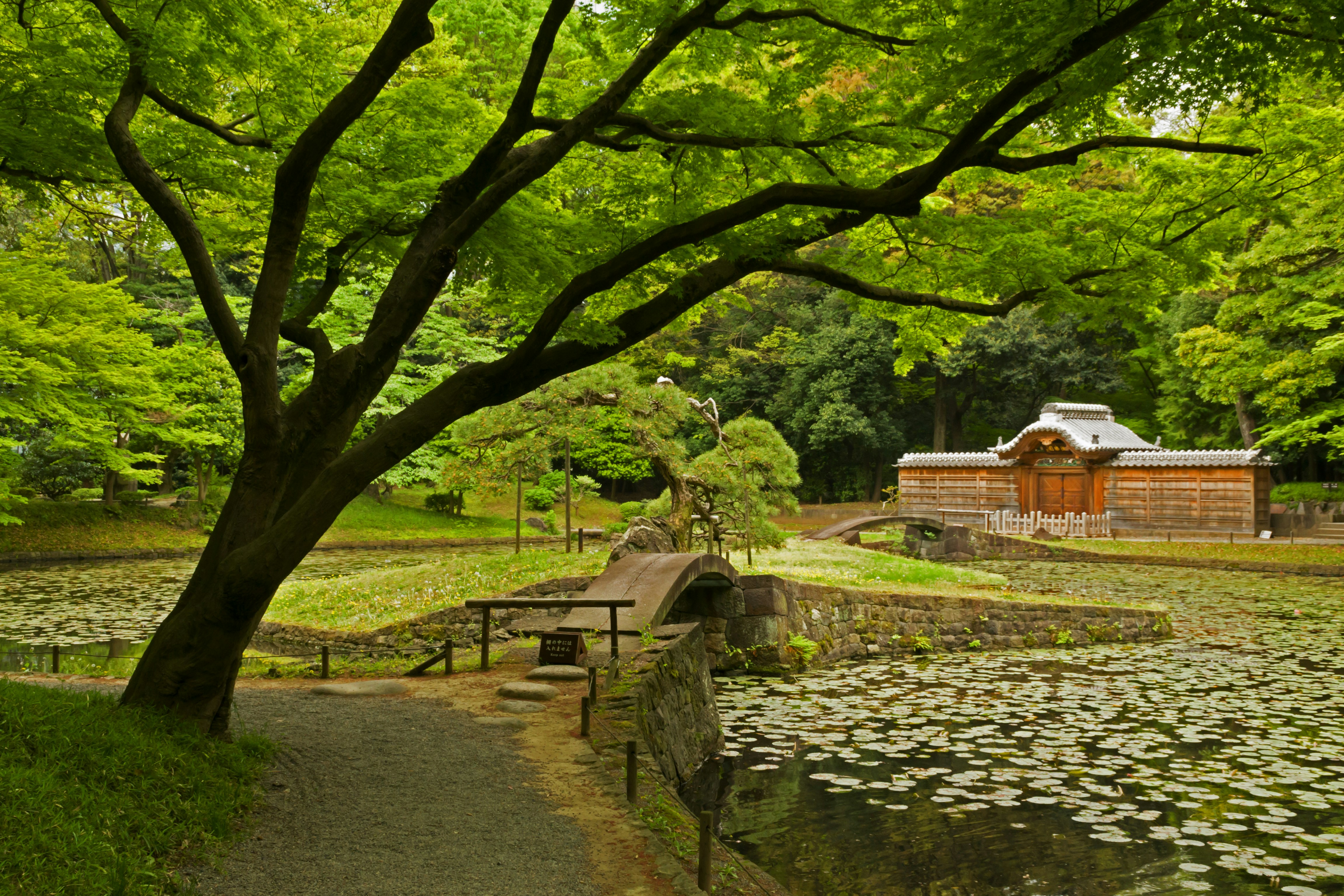 Photo by matamatairfan