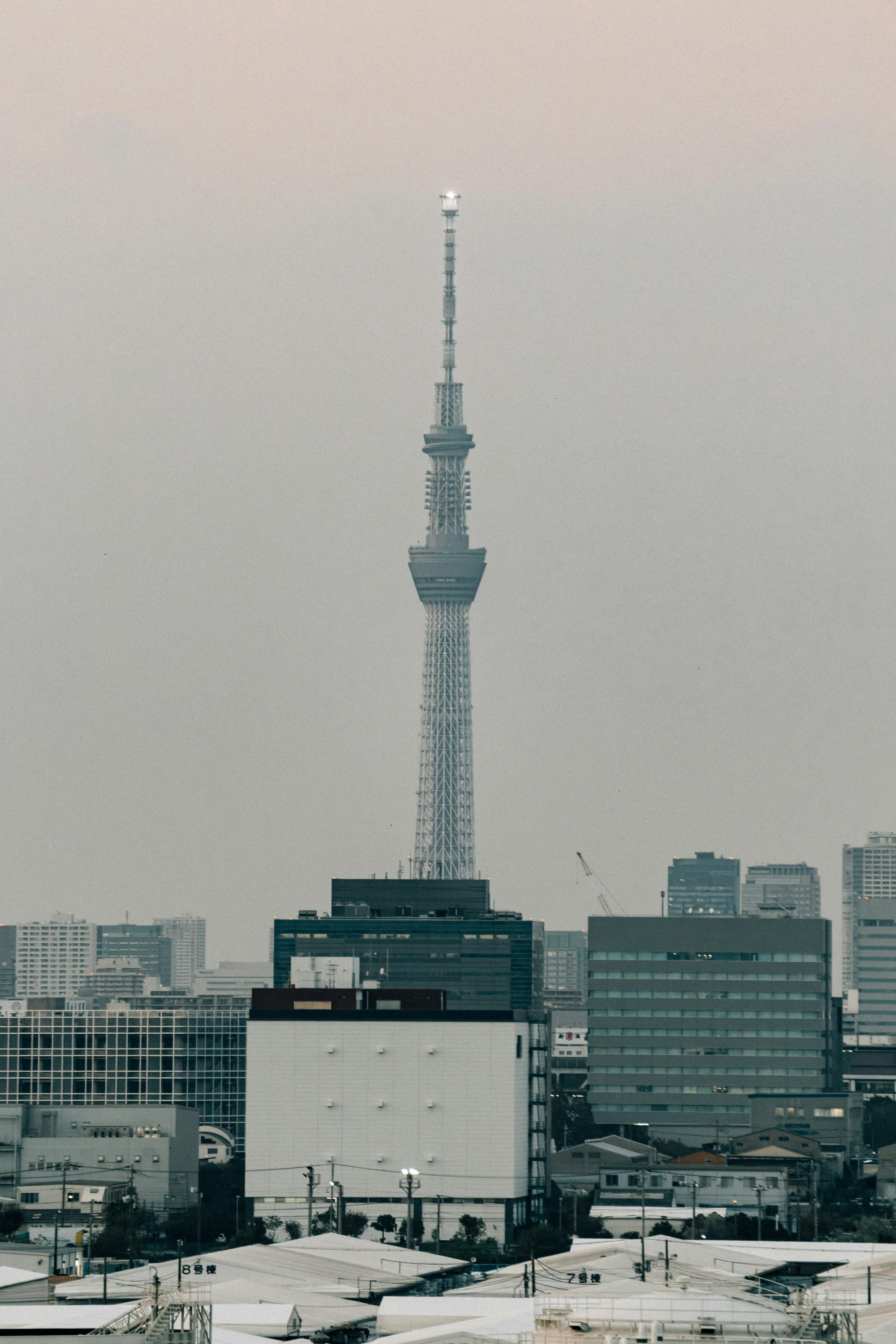 Photo by tsuyoshikozu