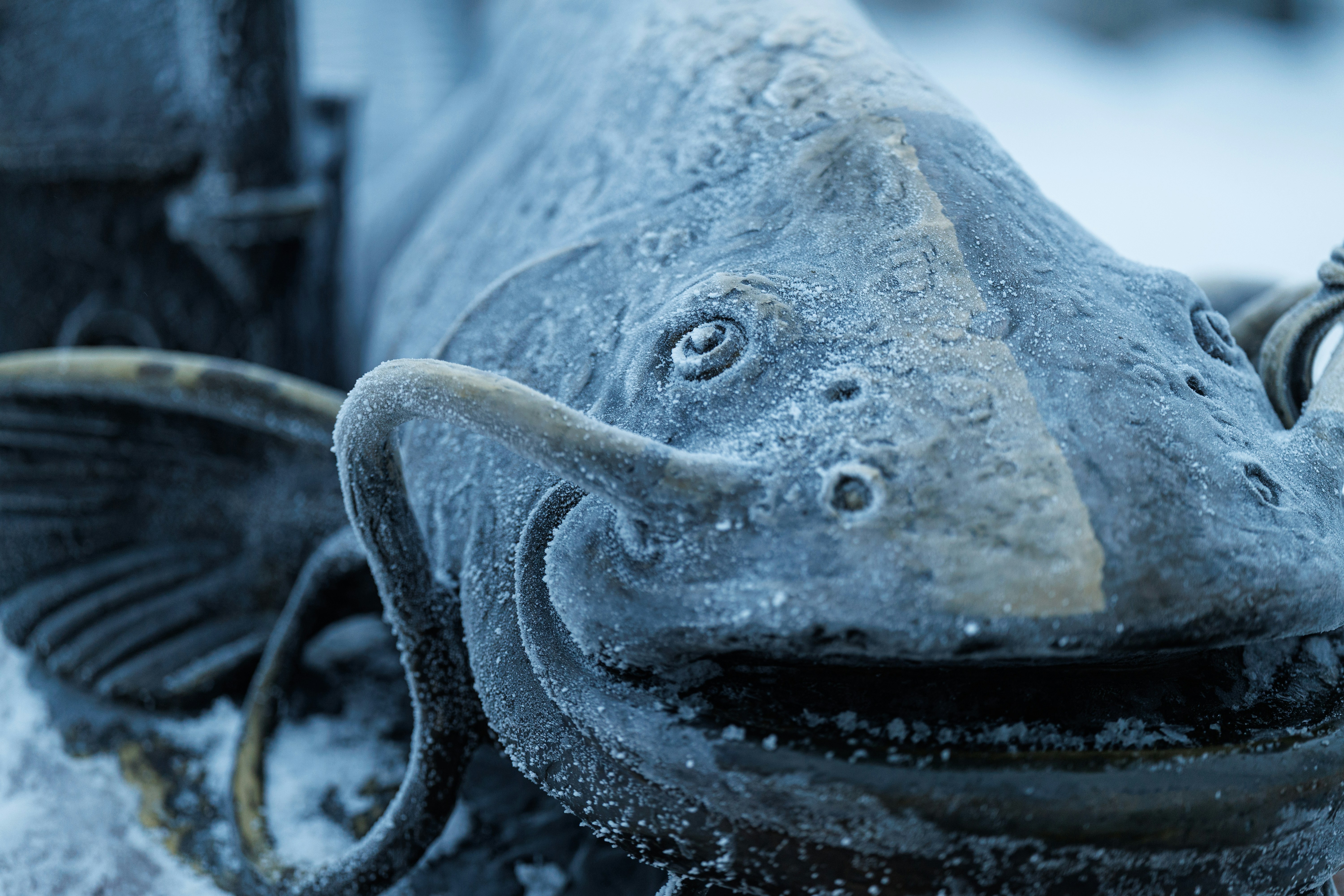 Close-up patung ikan buram di musim dingin.