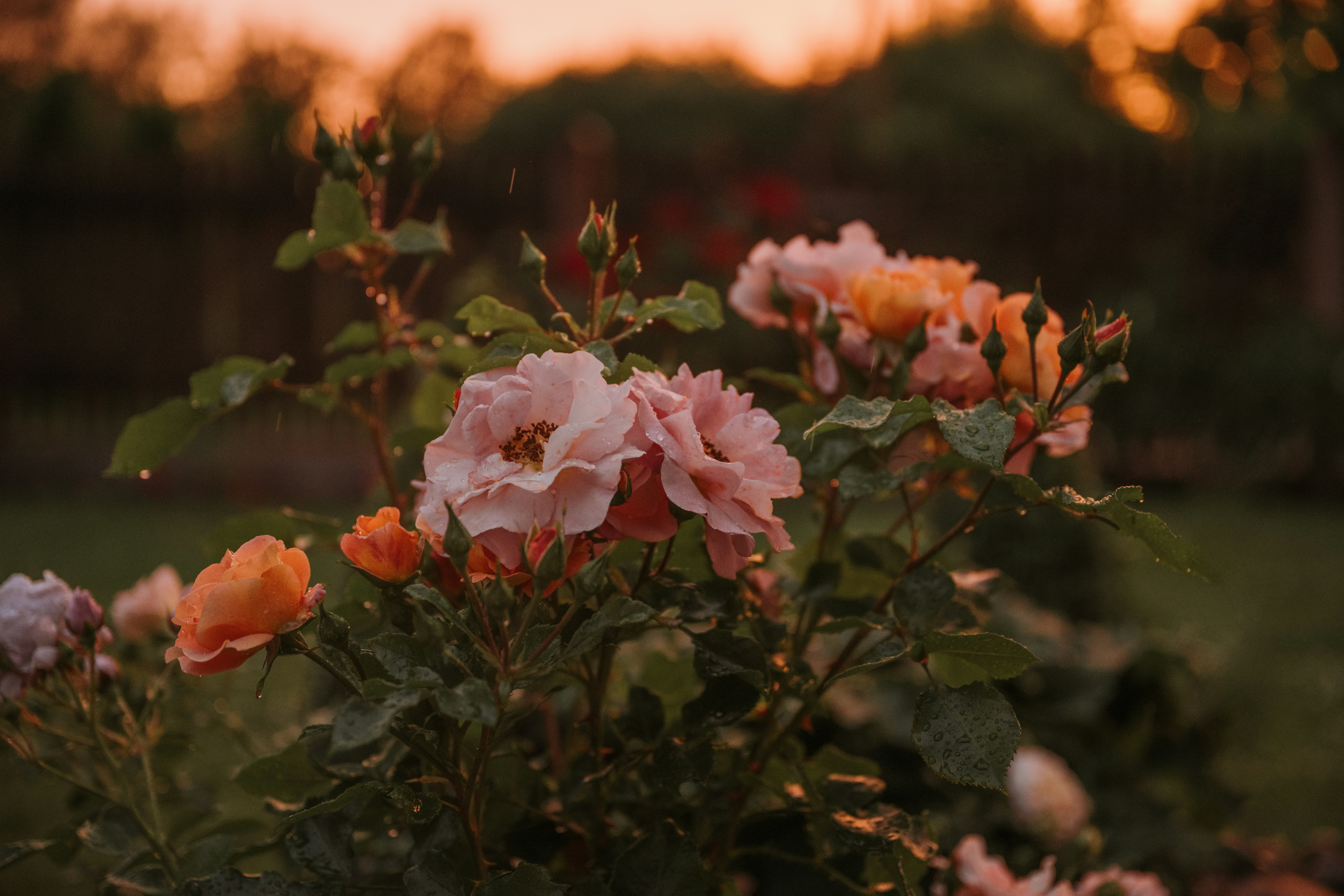 Photo by anitaaustvika