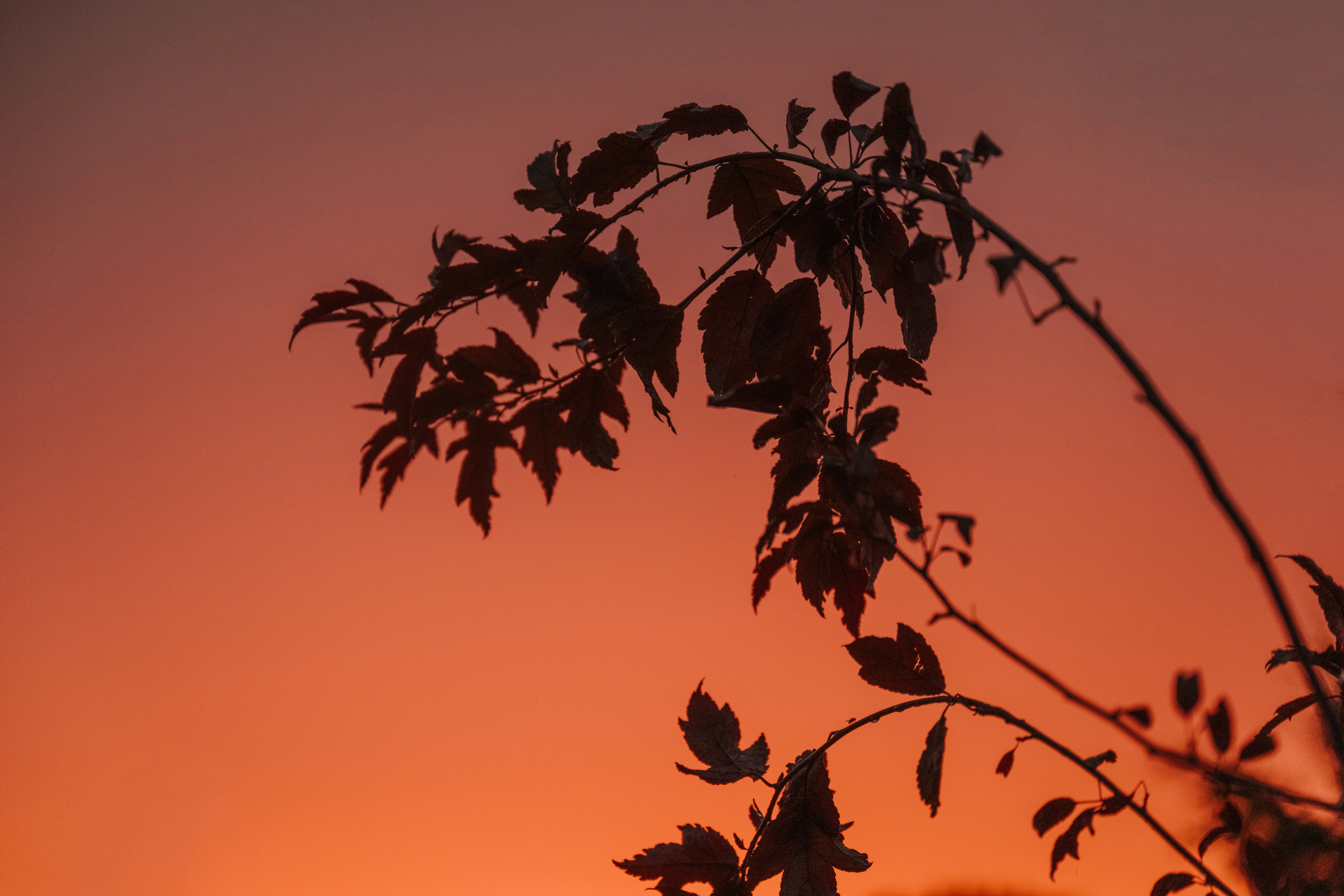 Photo by anitaaustvika