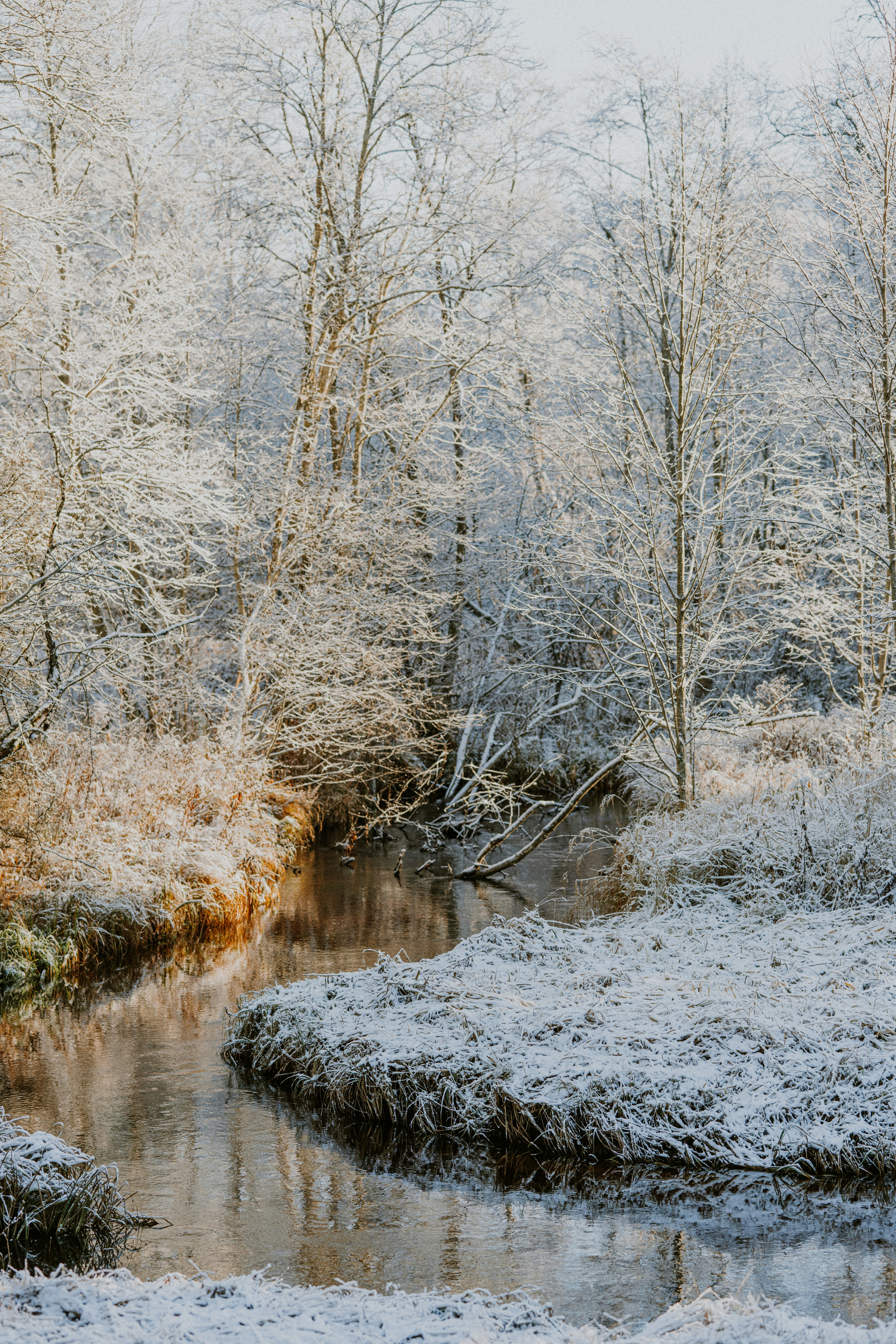 Photo by anitaaustvika