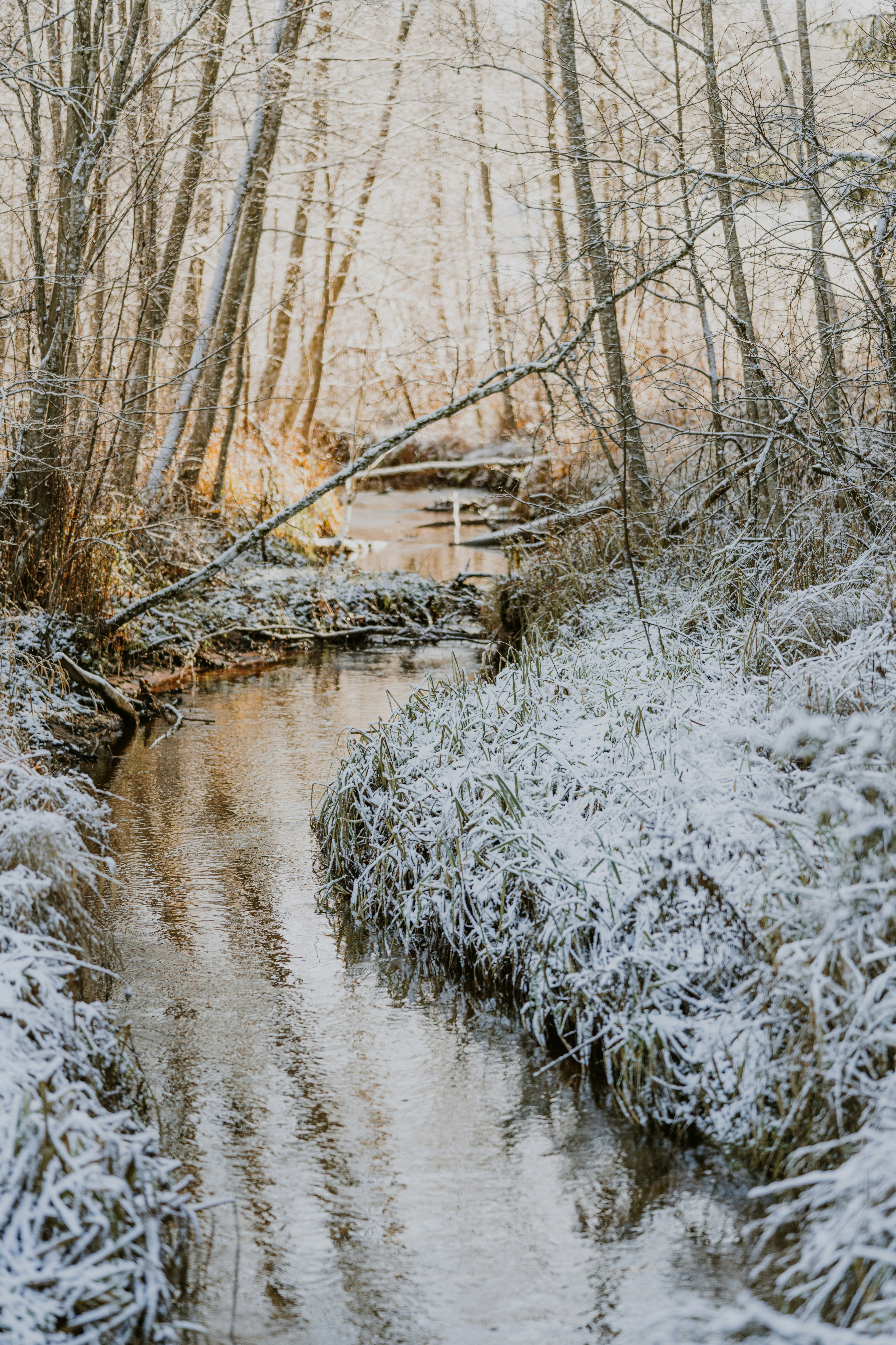 Photo by anitaaustvika