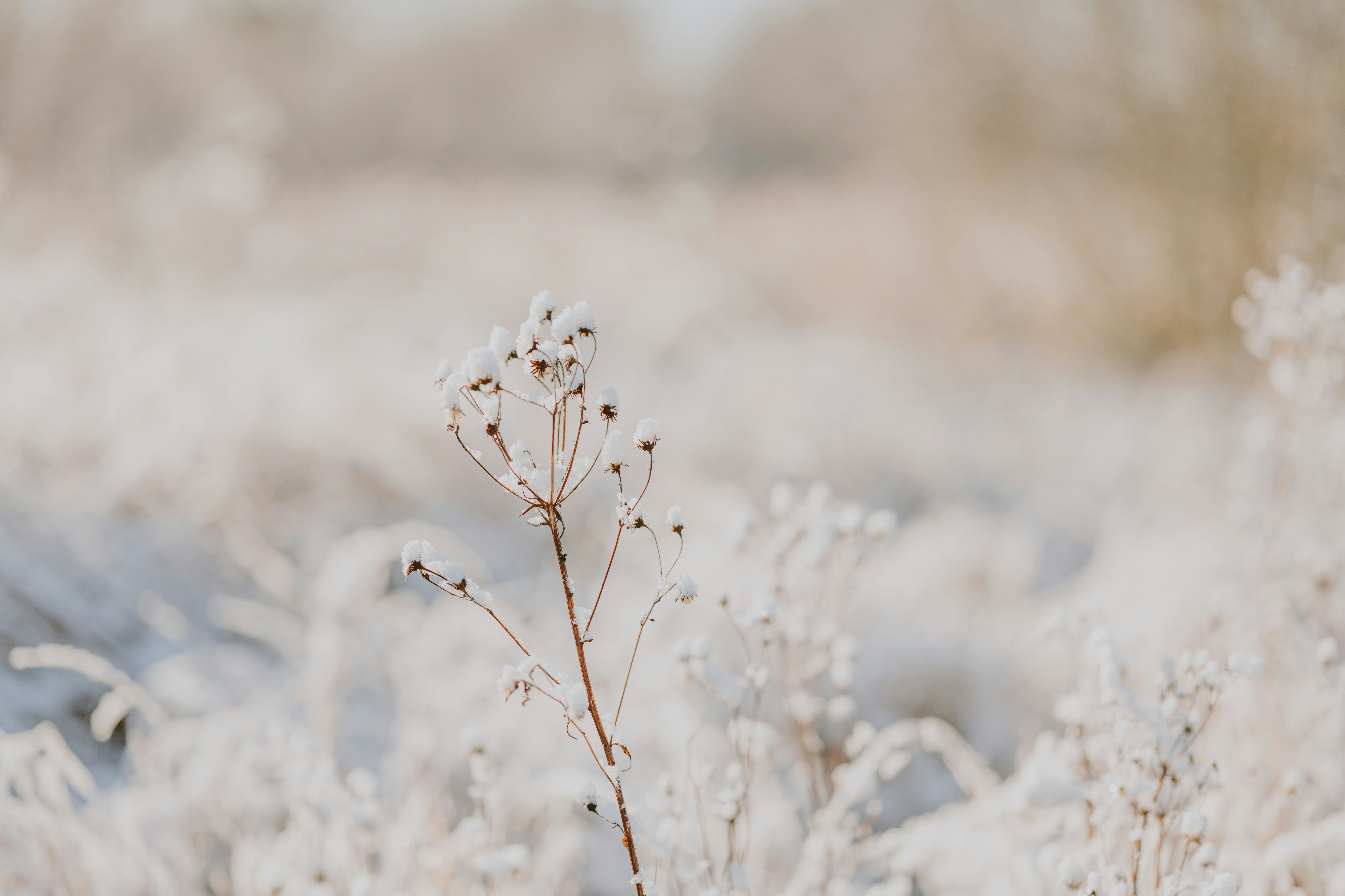 Horizon cutting-room links: Friday, 9 January 2025