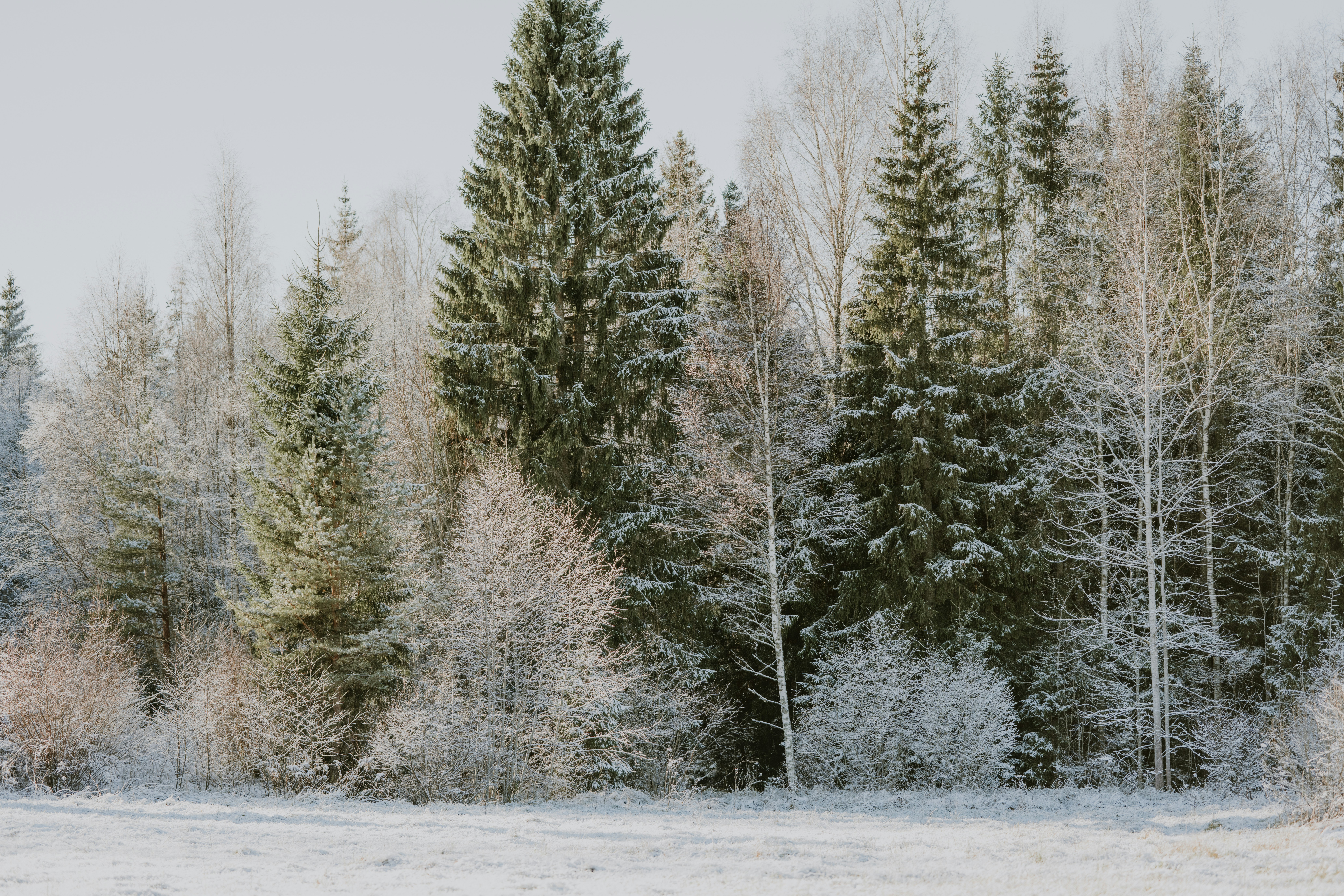 Photo by anitaaustvika