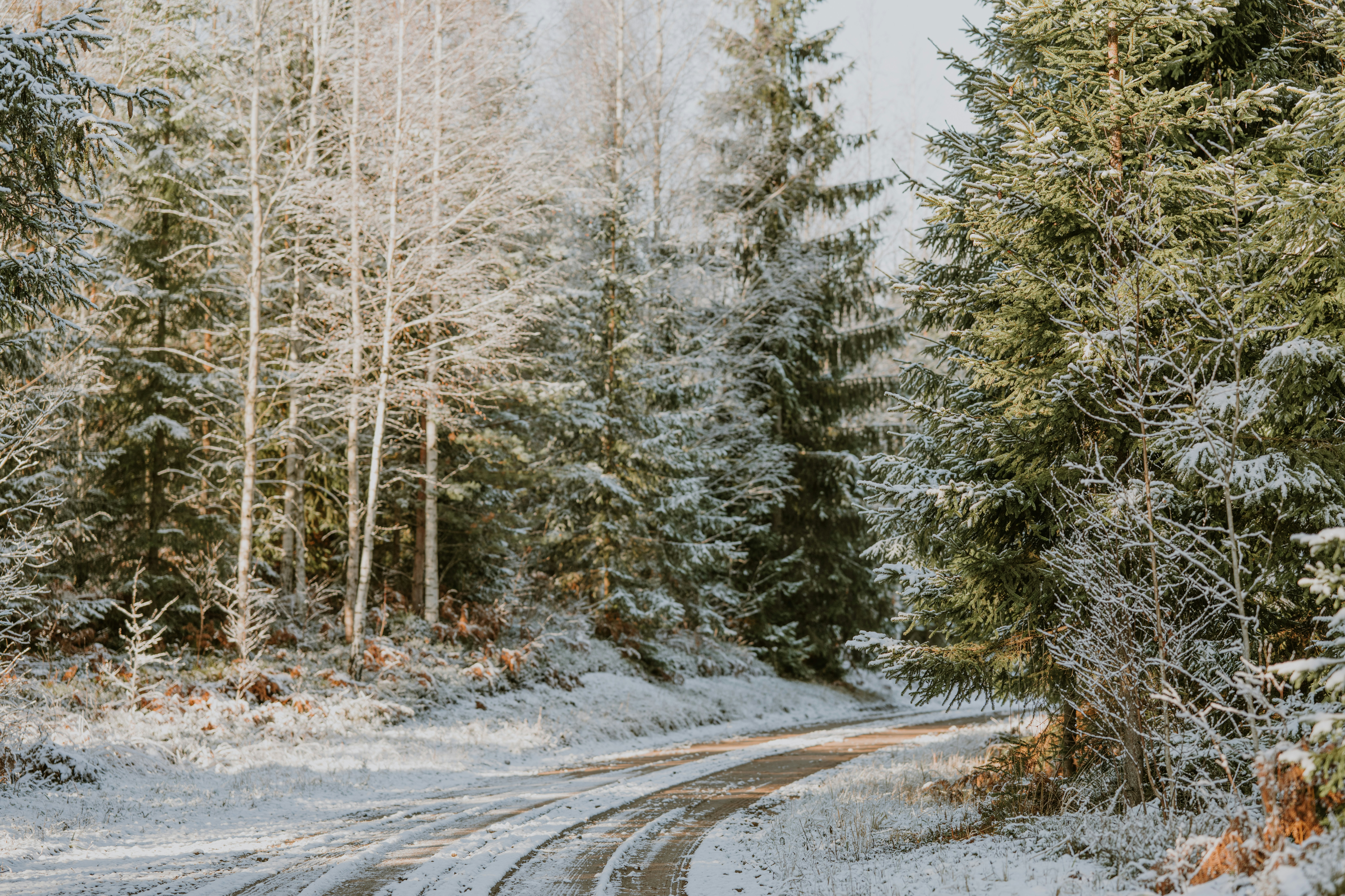 Photo by anitaaustvika