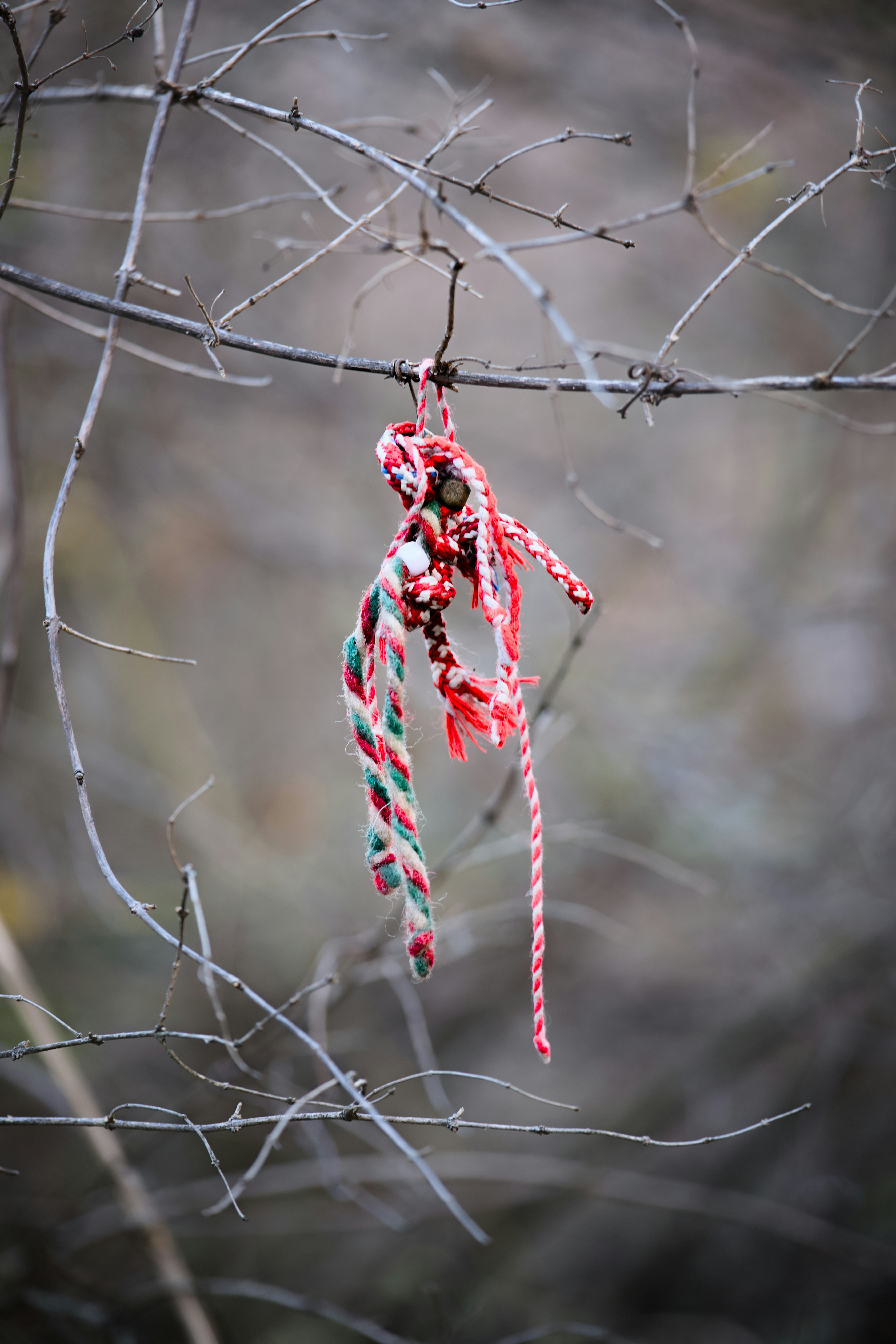 Red and white braided charm hanging on thorny branch