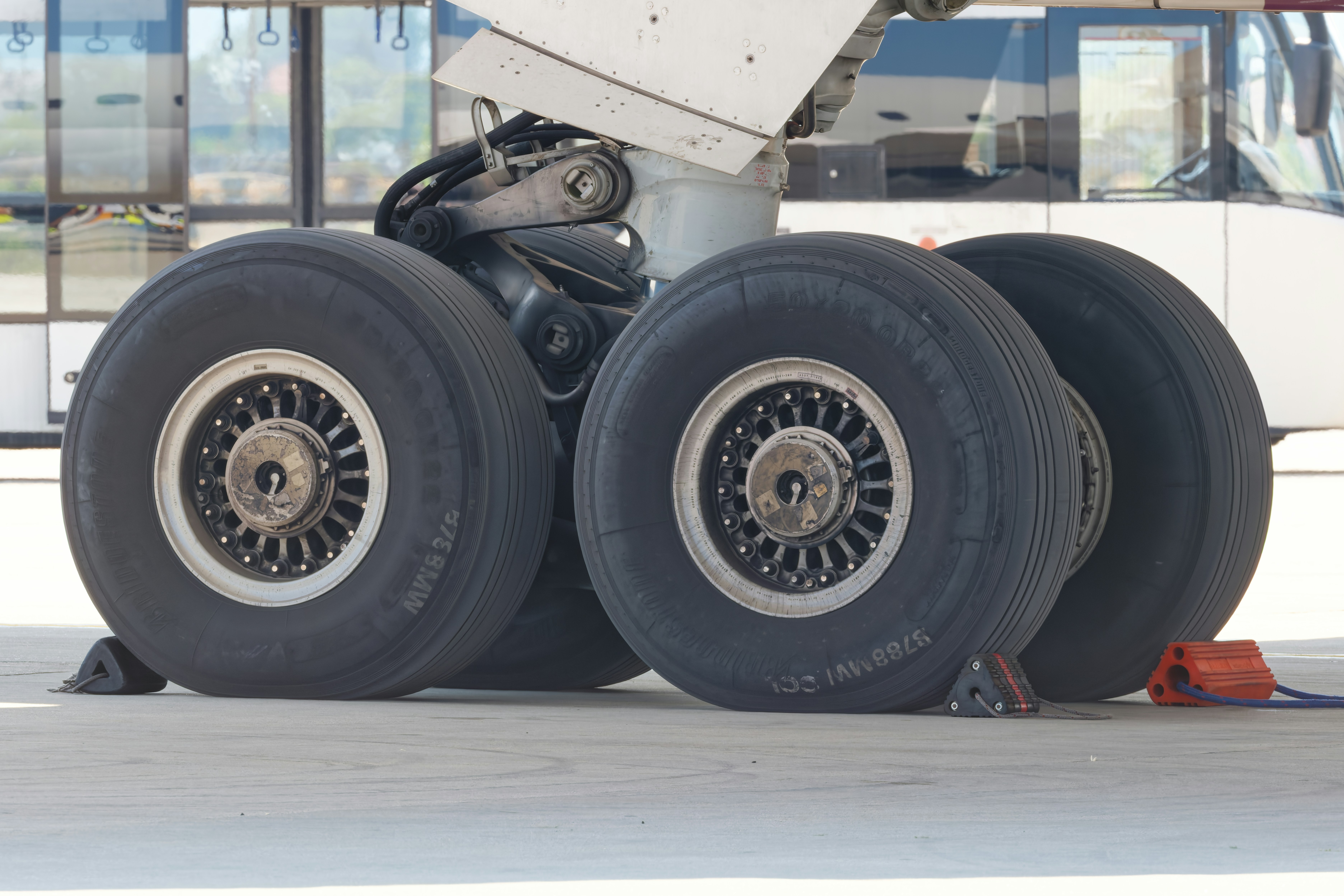 Photo by sevcanalkan