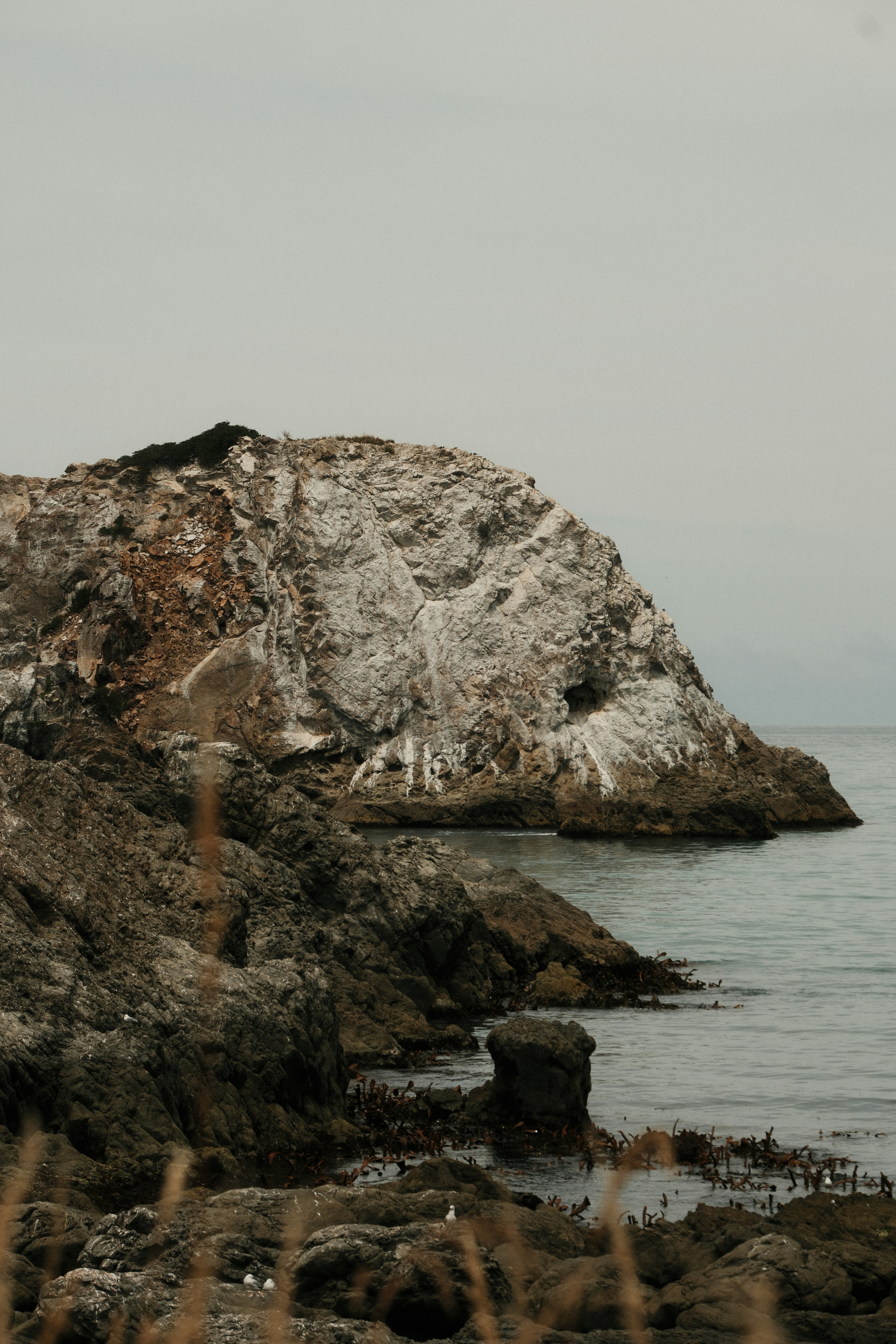 Photo by ginkgoshutter