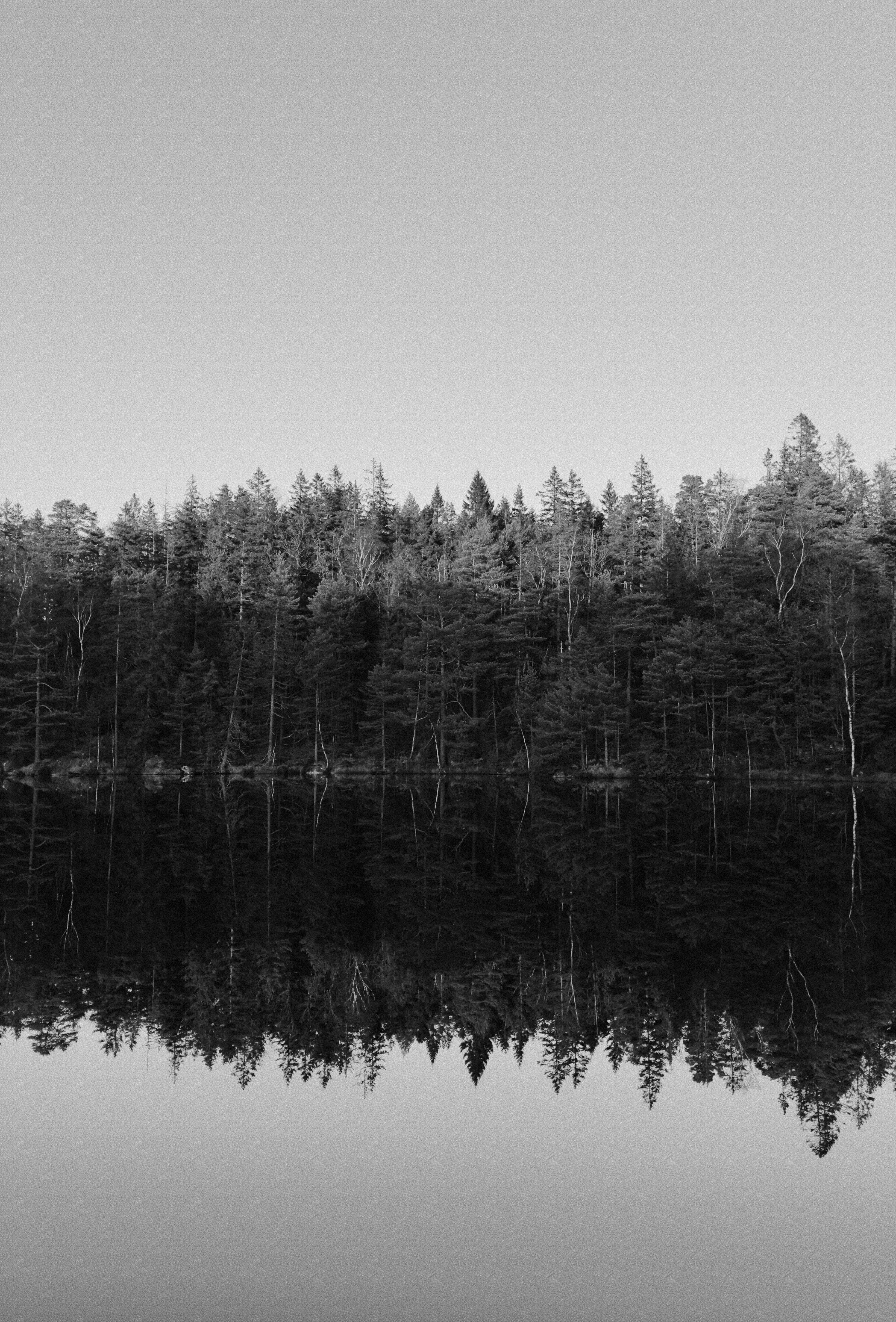 Photo by jacobasker04