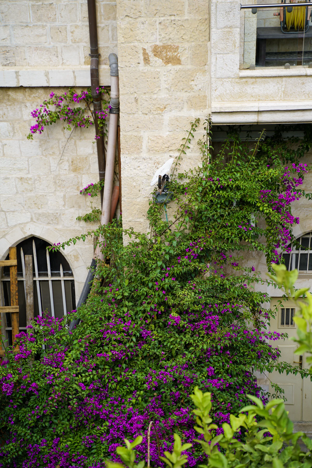 Flowers cascading down a Jerusalem stone building