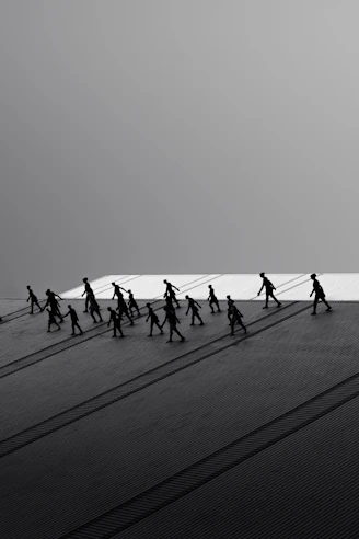 Silhouettes of people walking with long shadows