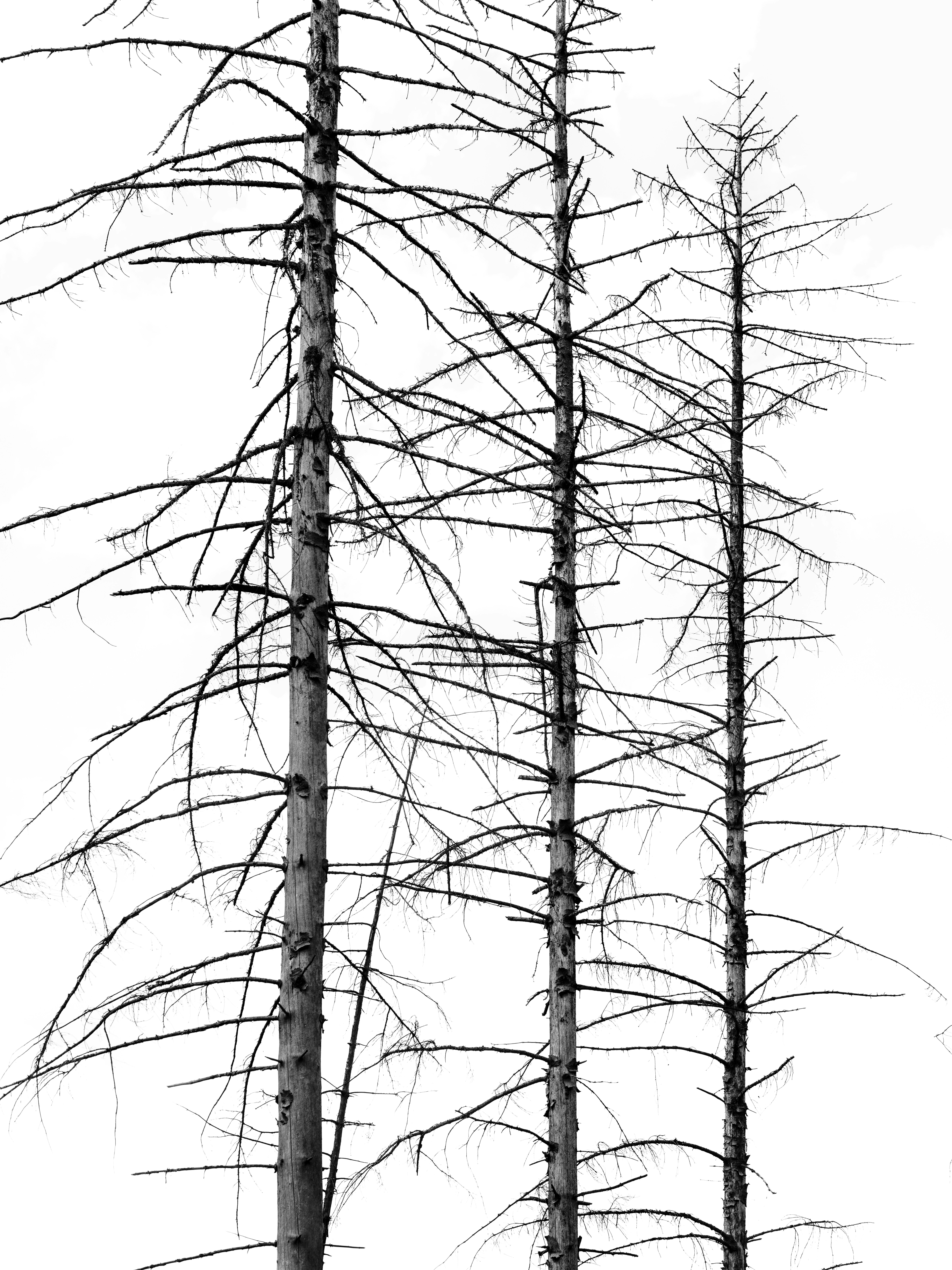 Photo by haberdoedas