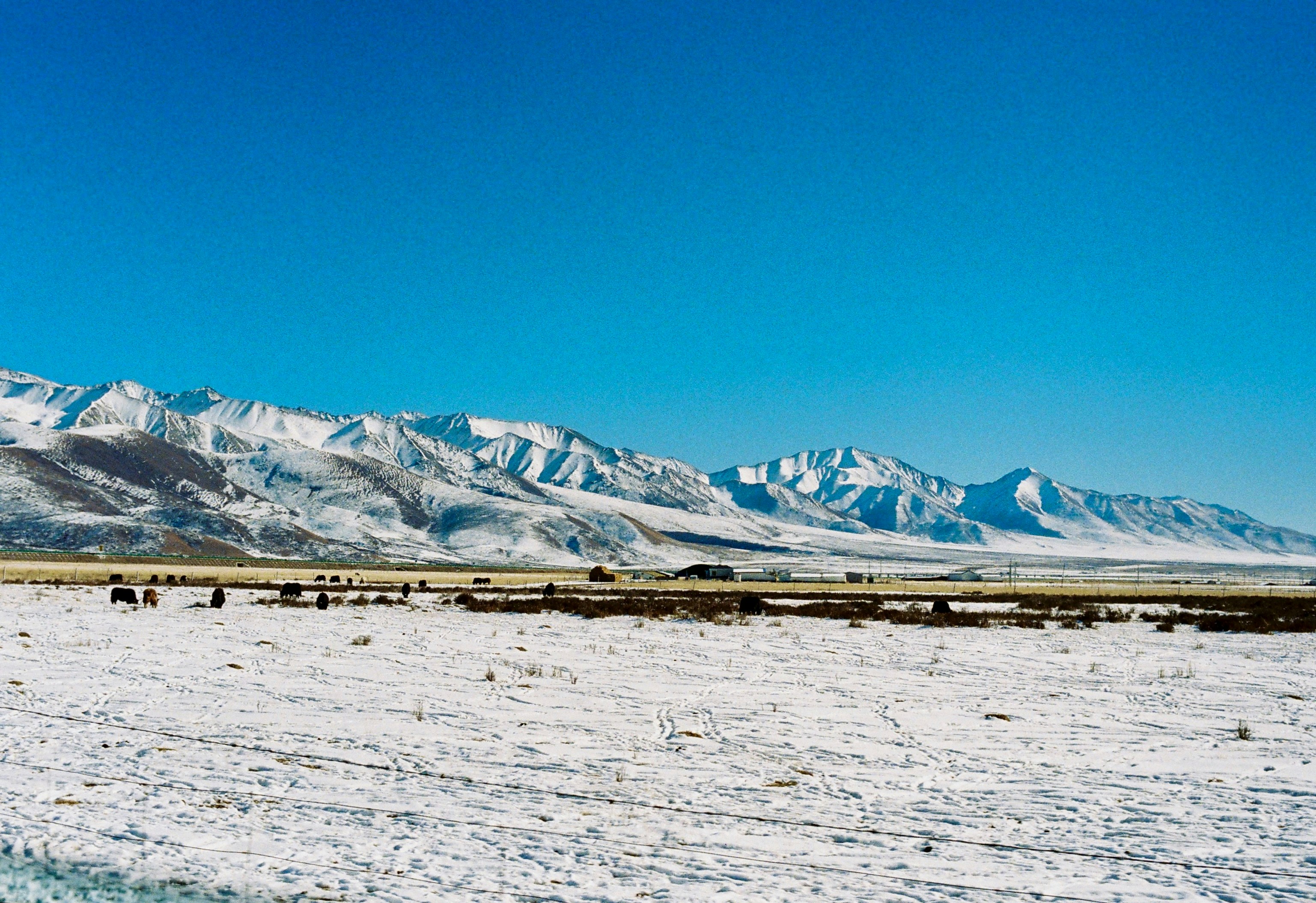 Photo by lwllwwlllwww