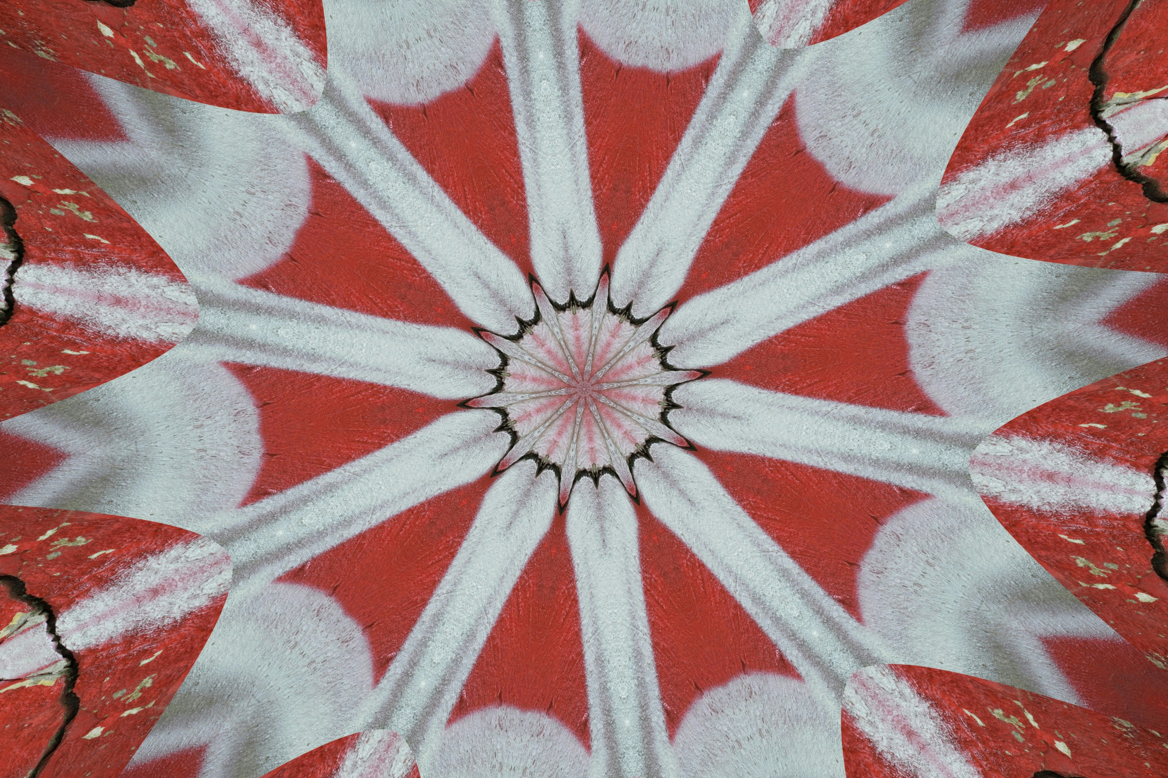 Symmetrical red and white abstract pattern