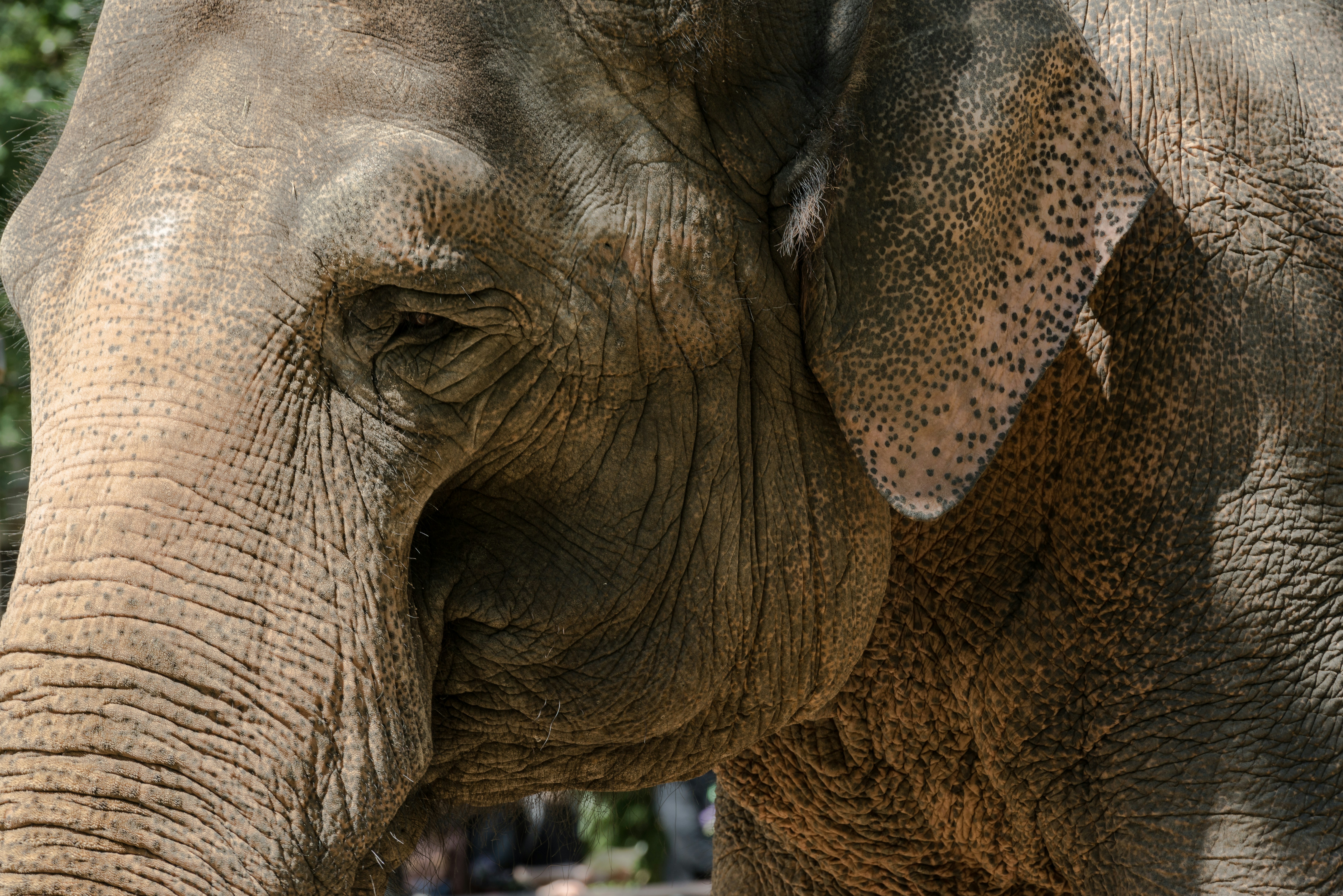 Photo by hamburgmeinefreundin