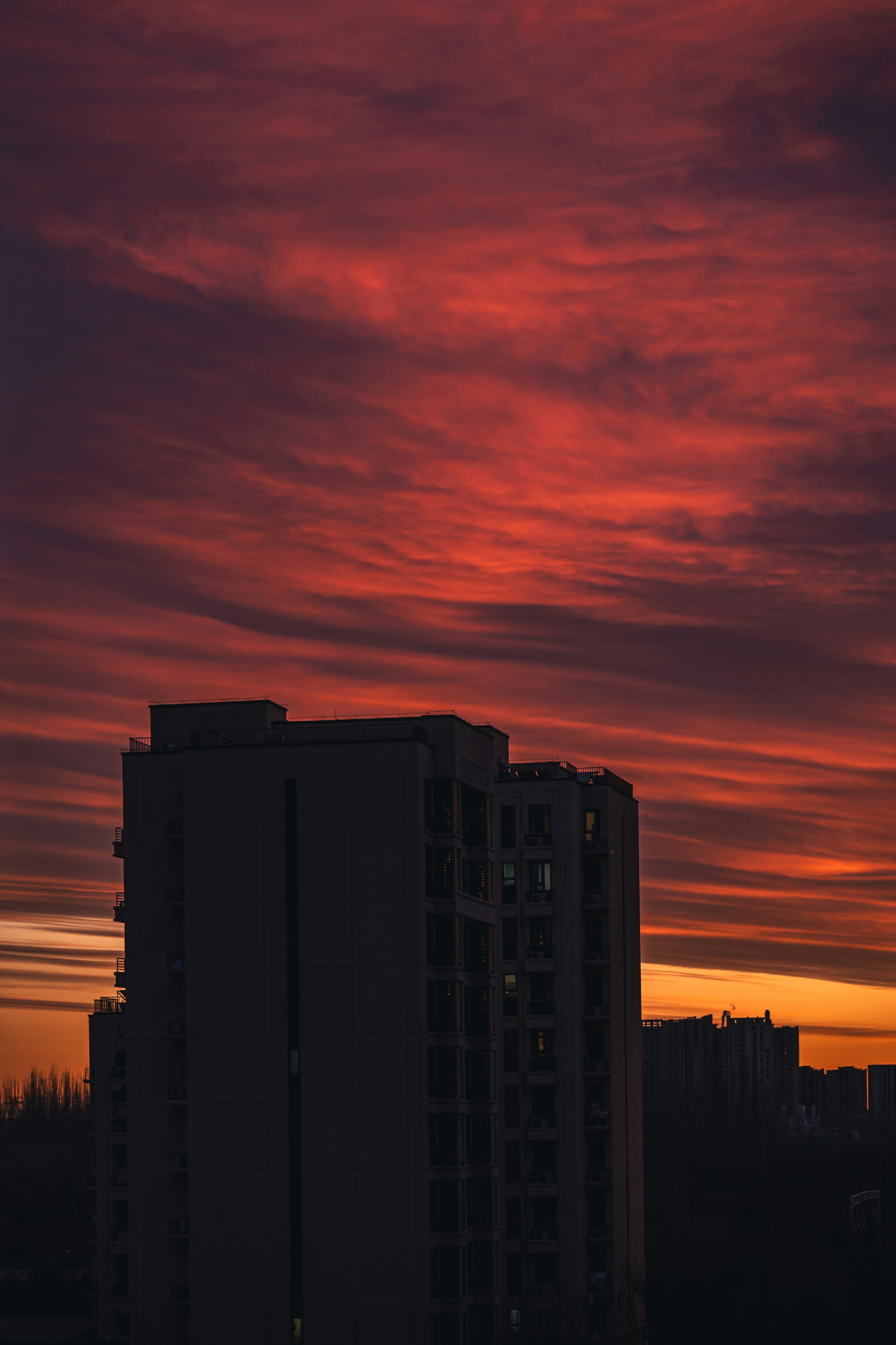 Photo by peek_a_boo_who