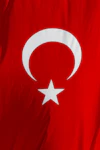 Donor