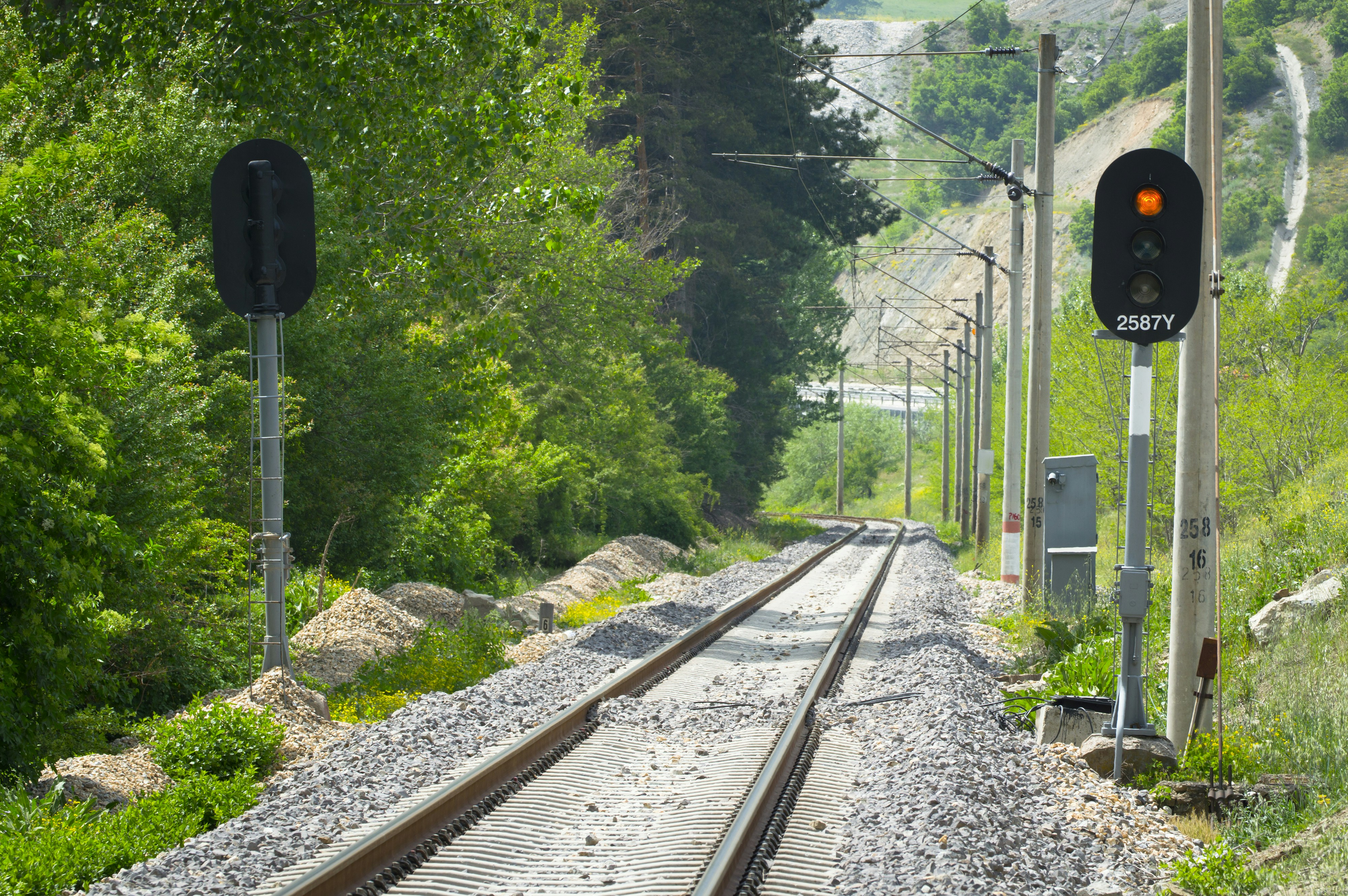 Las vías del tren atraviesan una zona verde y boscosa.