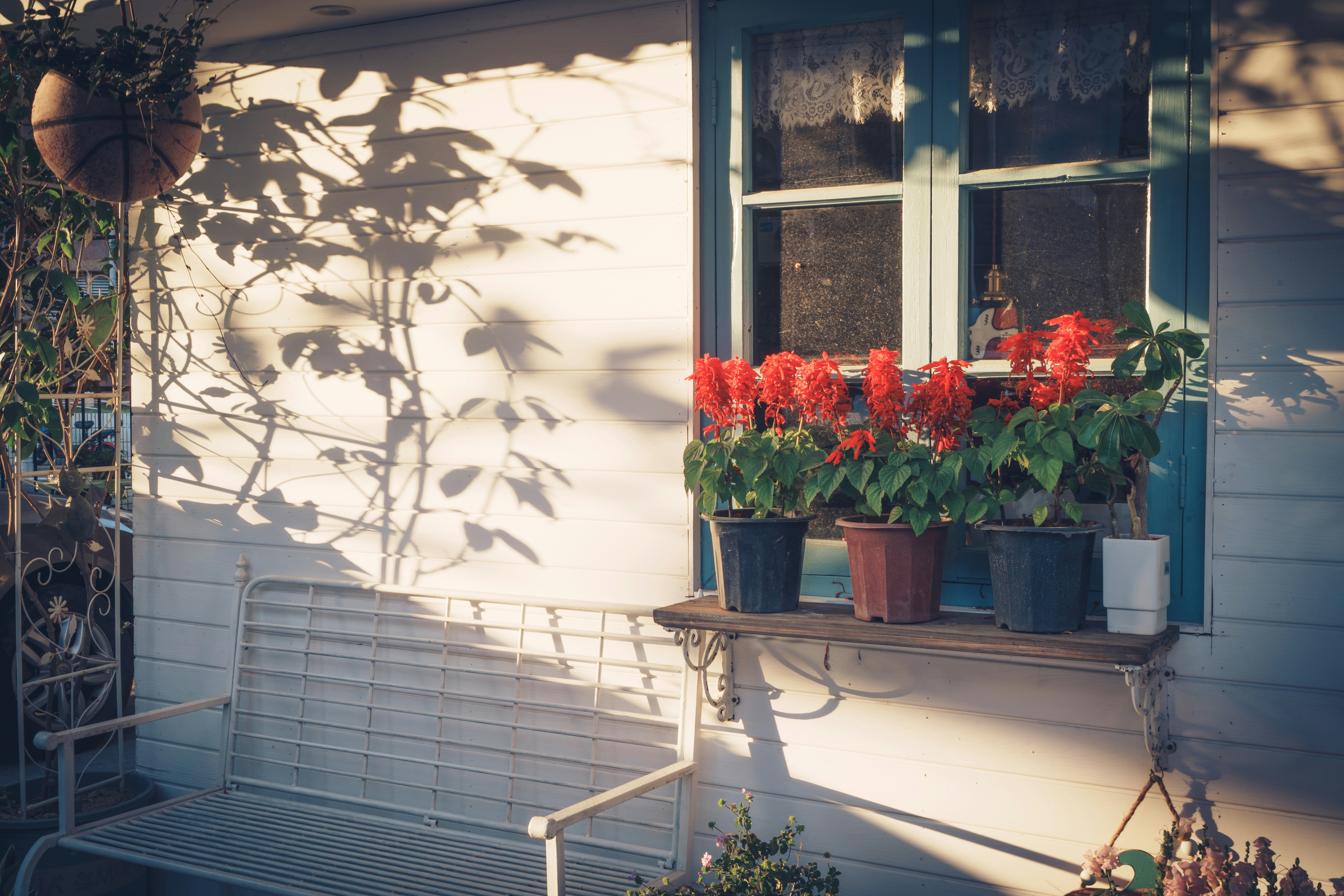 Photo by toxicsmoker