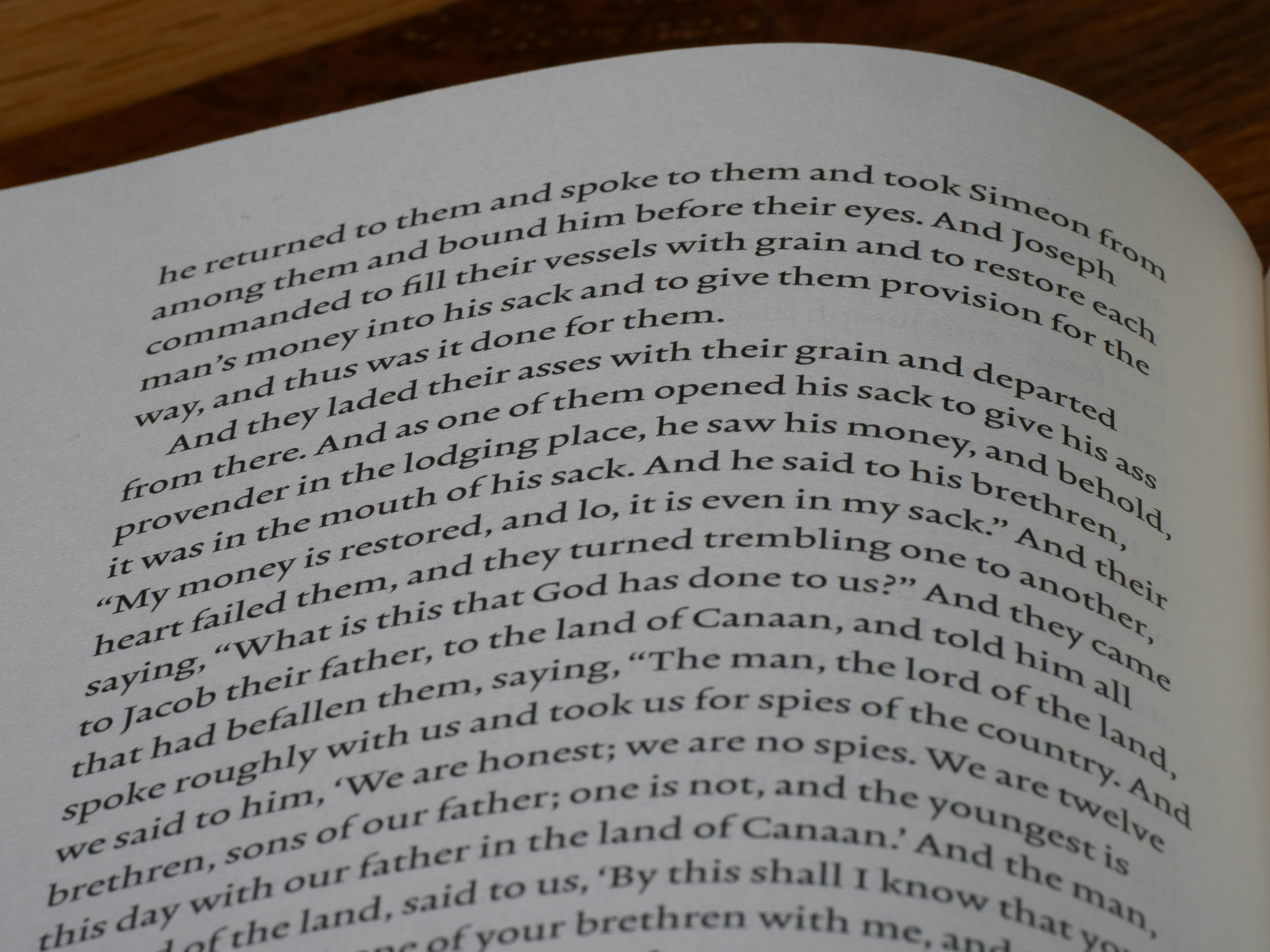 Photo by brett_jordan