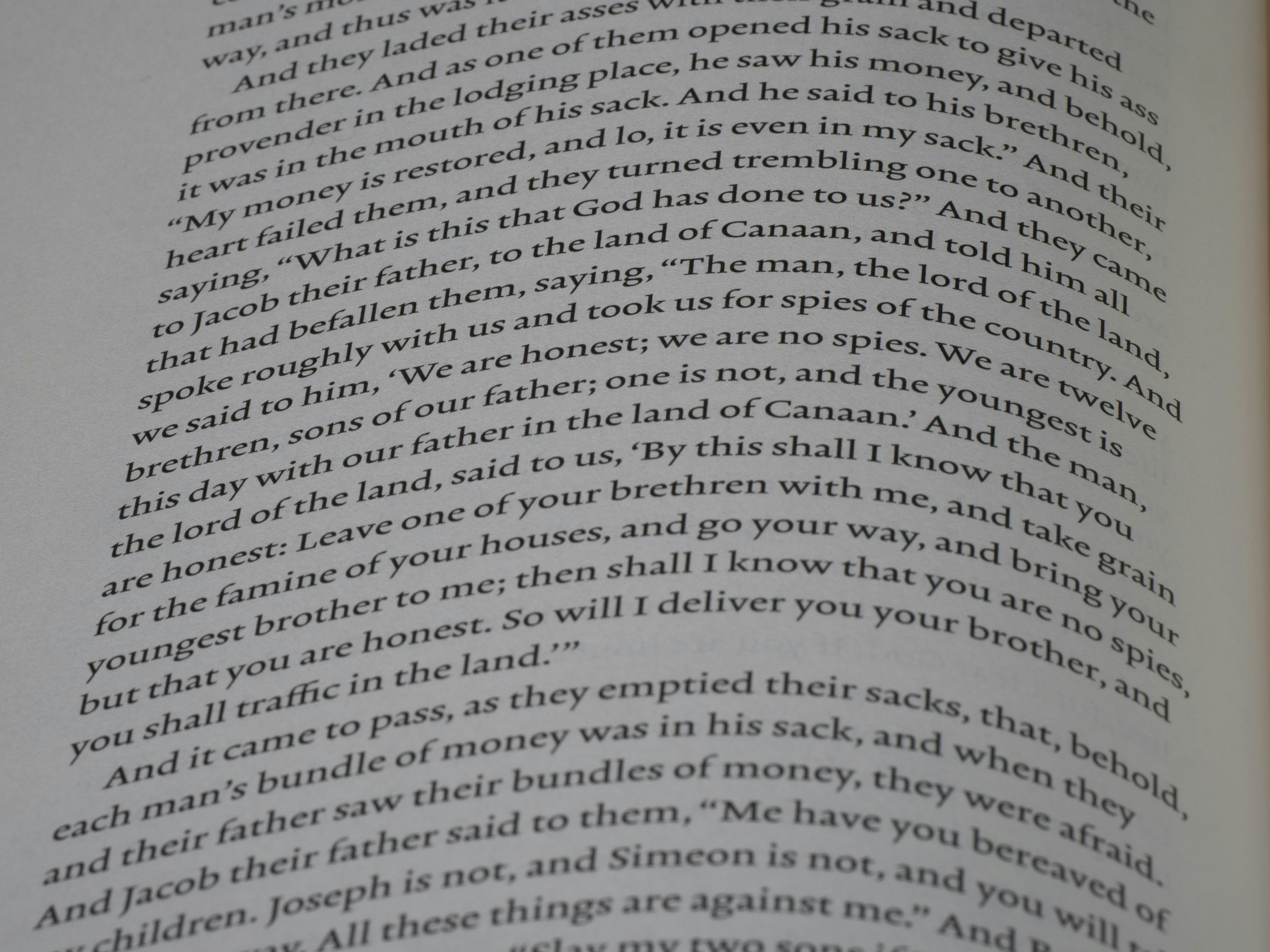 Photo by brett_jordan