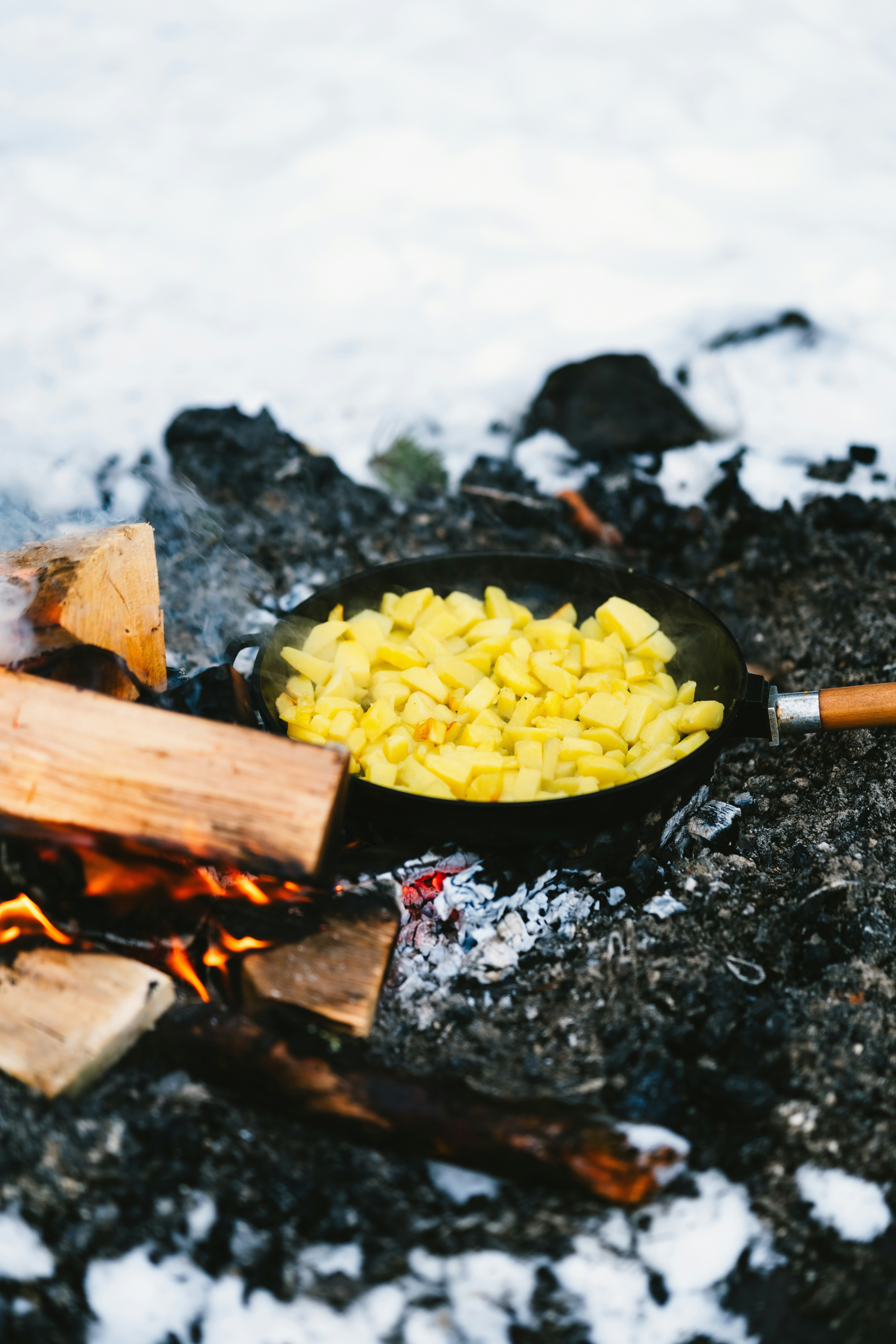 Photo by kristapsungurs